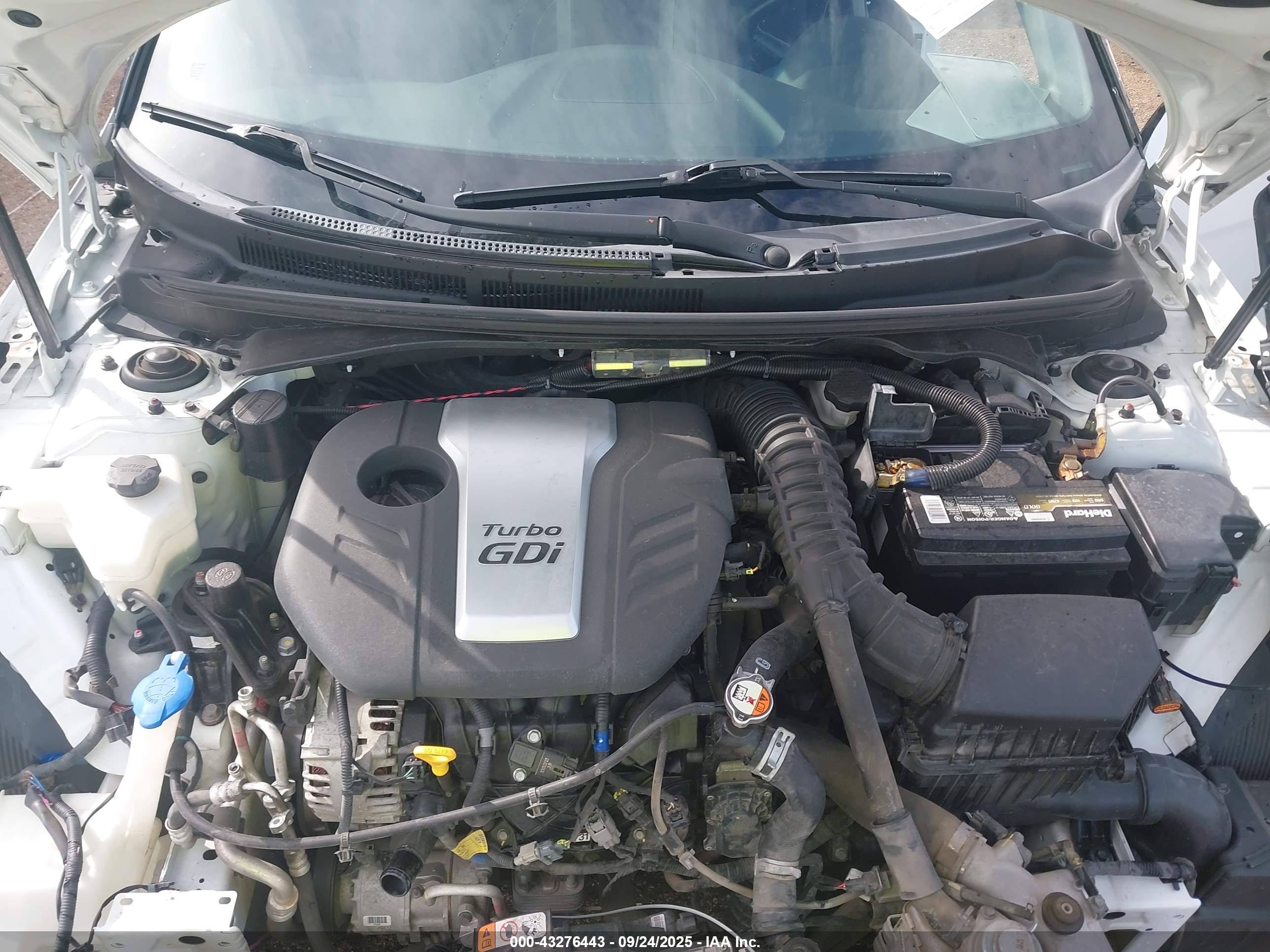 HYUNDAI VELOSTER image 10