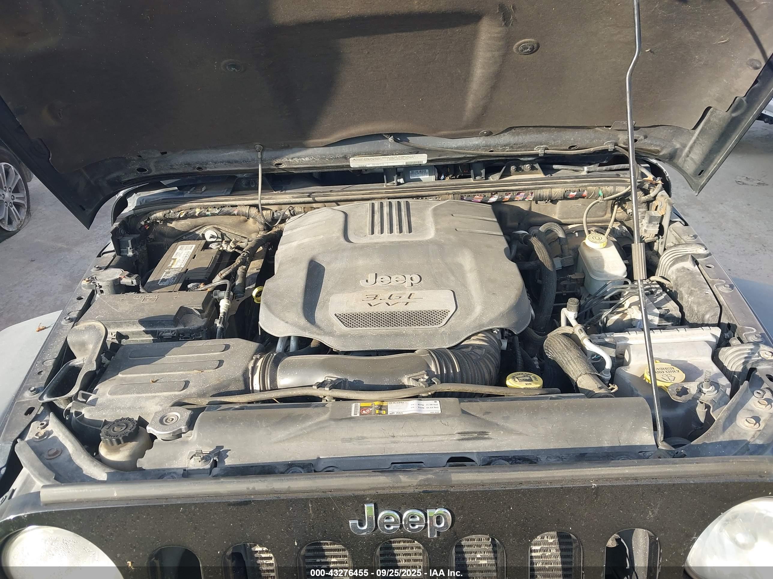 JEEP WRANGLER image 10