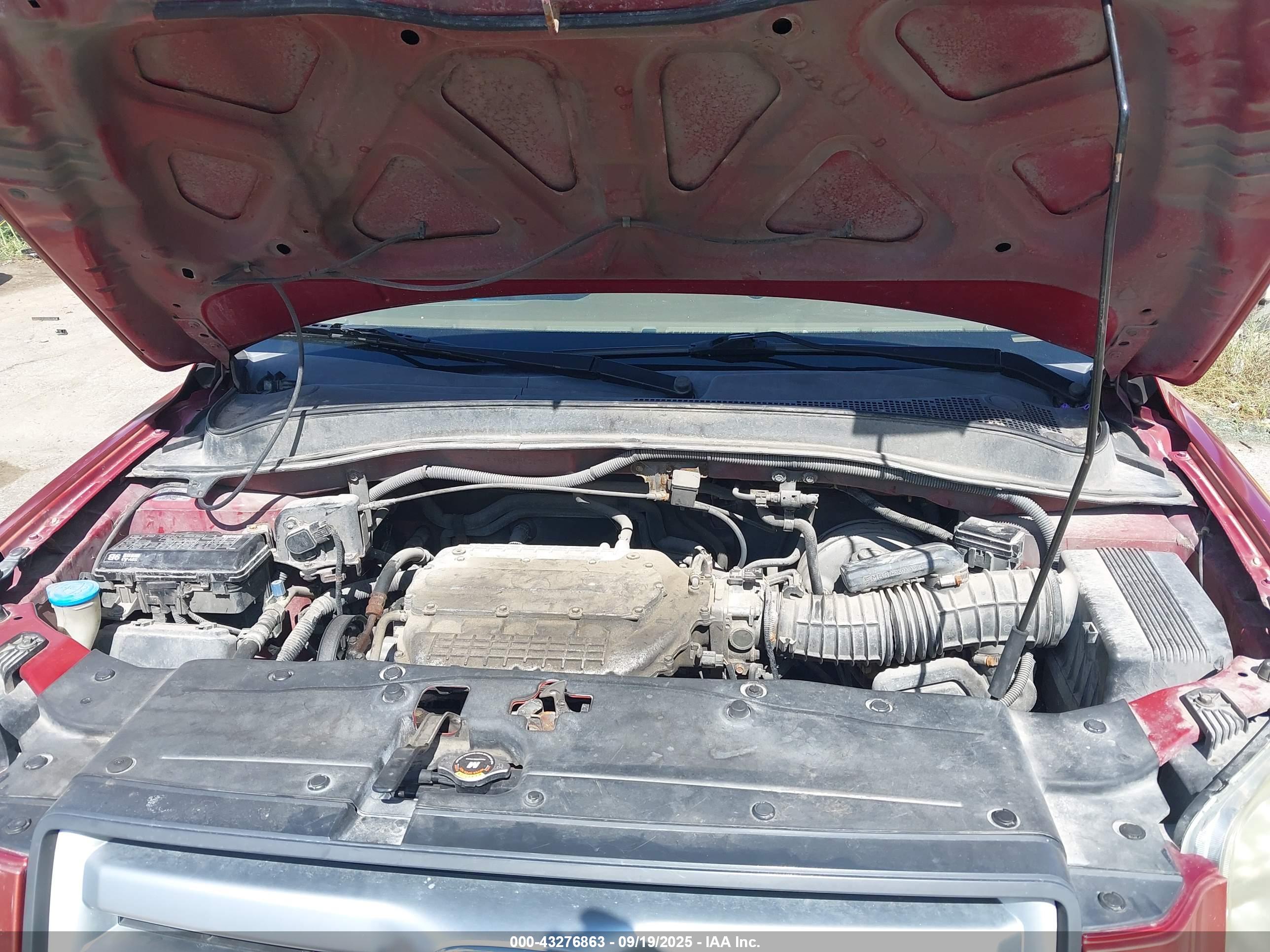HONDA PILOT image 10