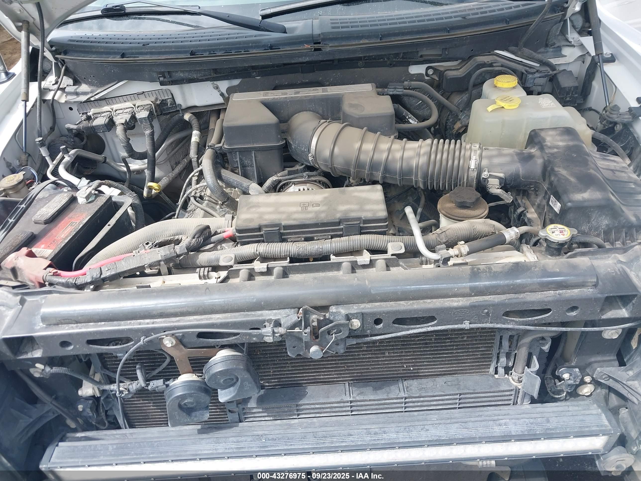 FORD F-150 image 10