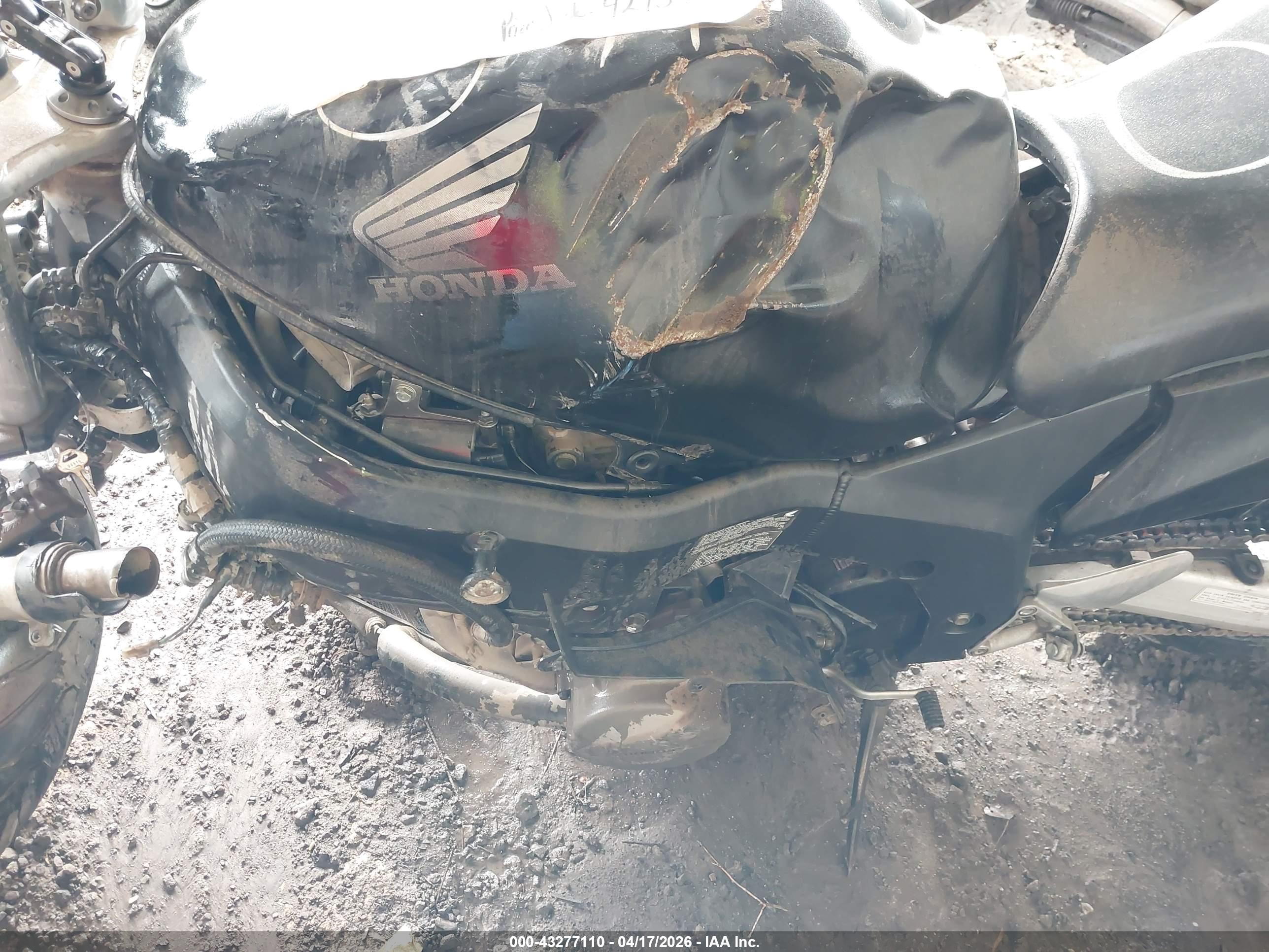 HONDA CBR1100 image 9