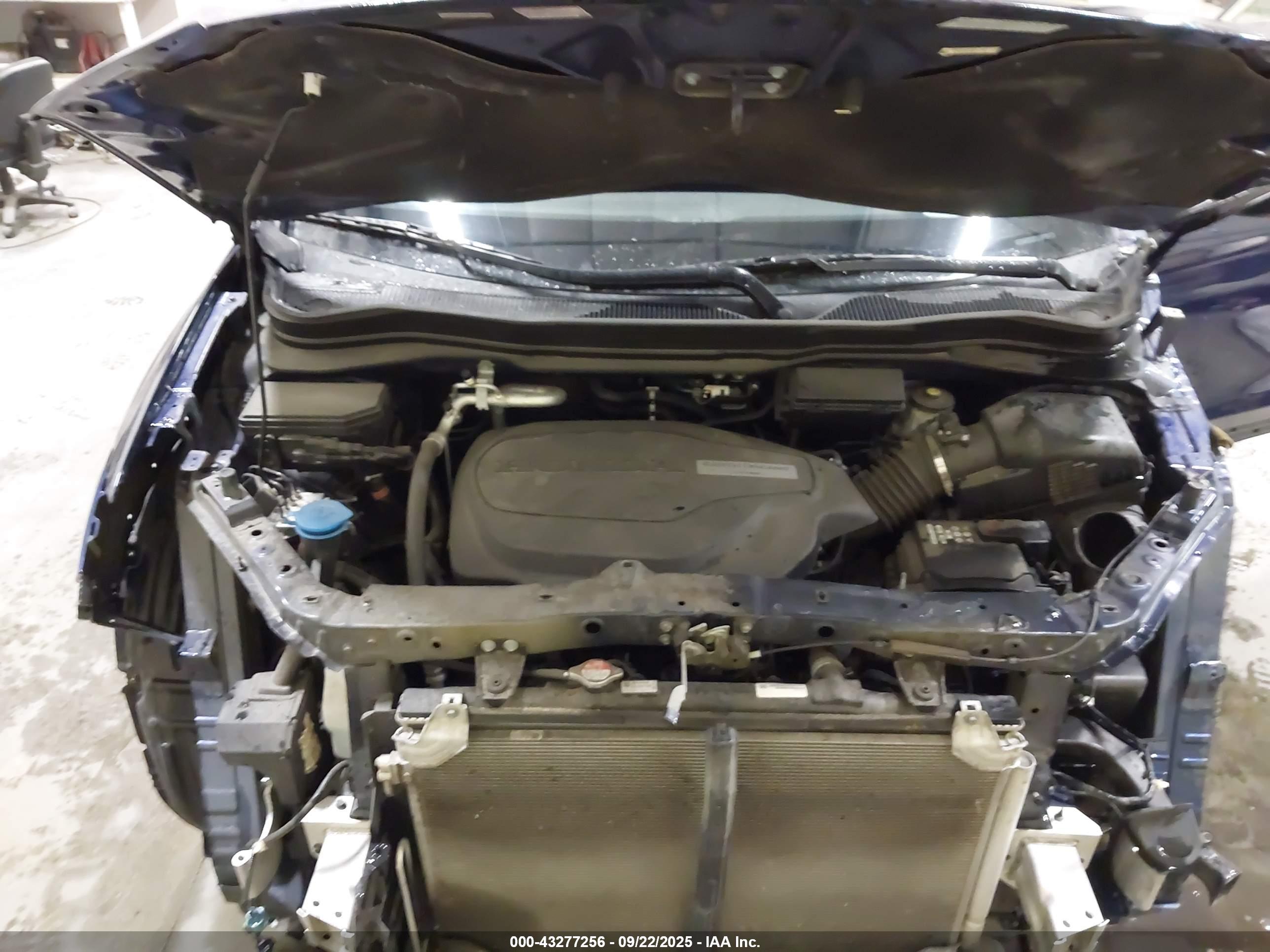 HONDA PILOT image 10