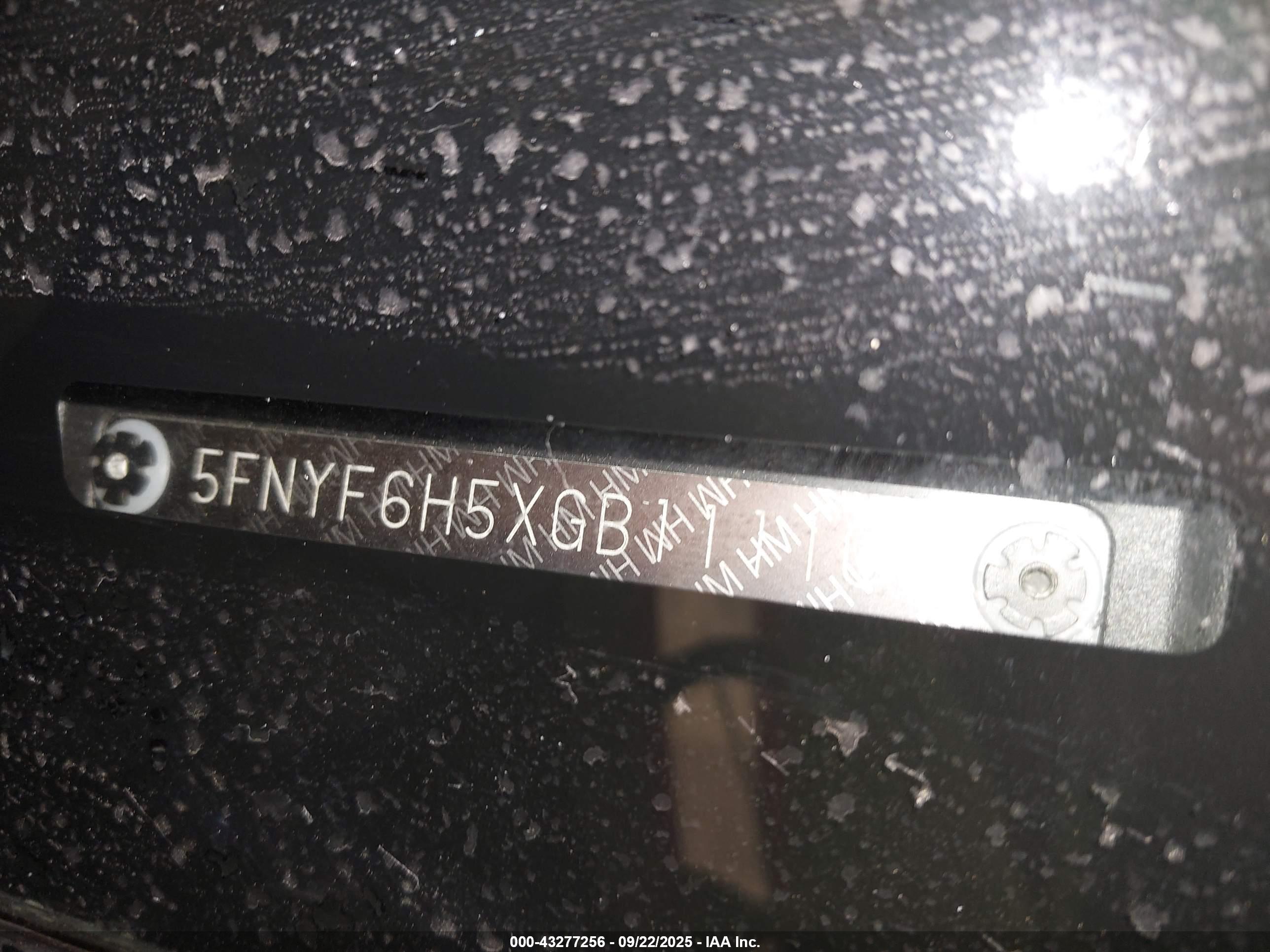 HONDA PILOT image 9