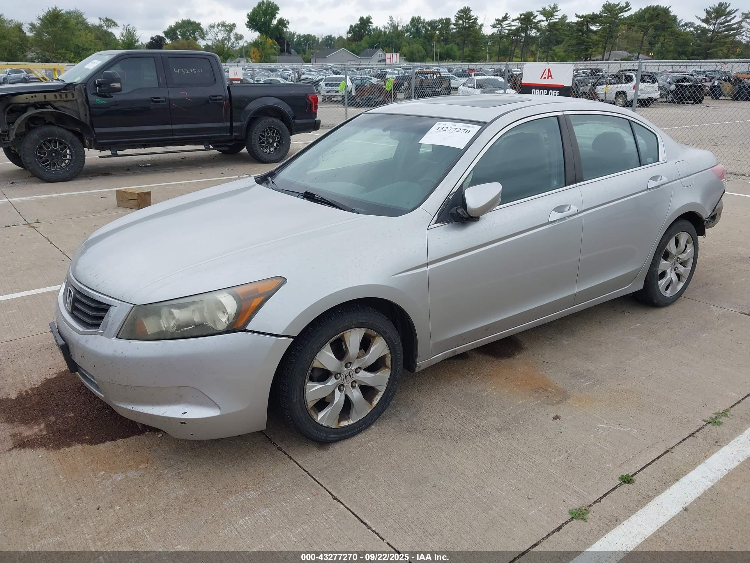 HONDA ACCORD image 2