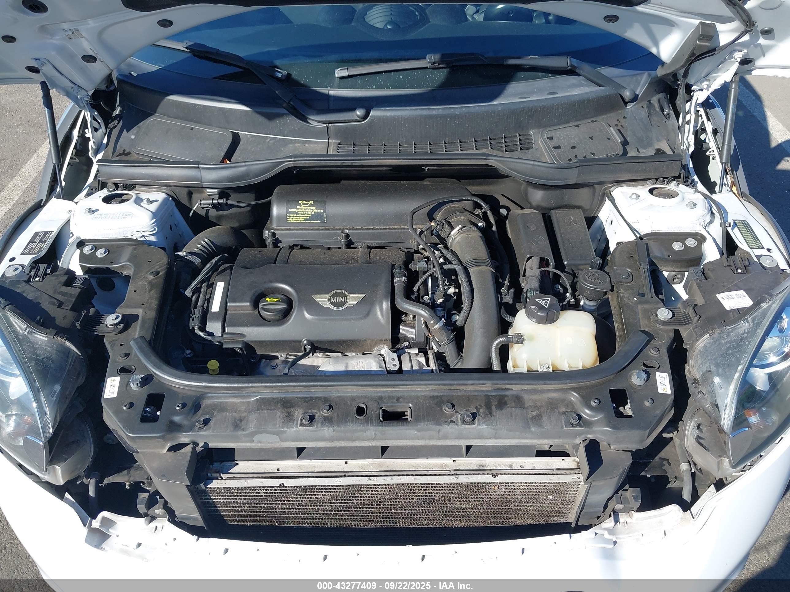MINI PACEMAN image 10