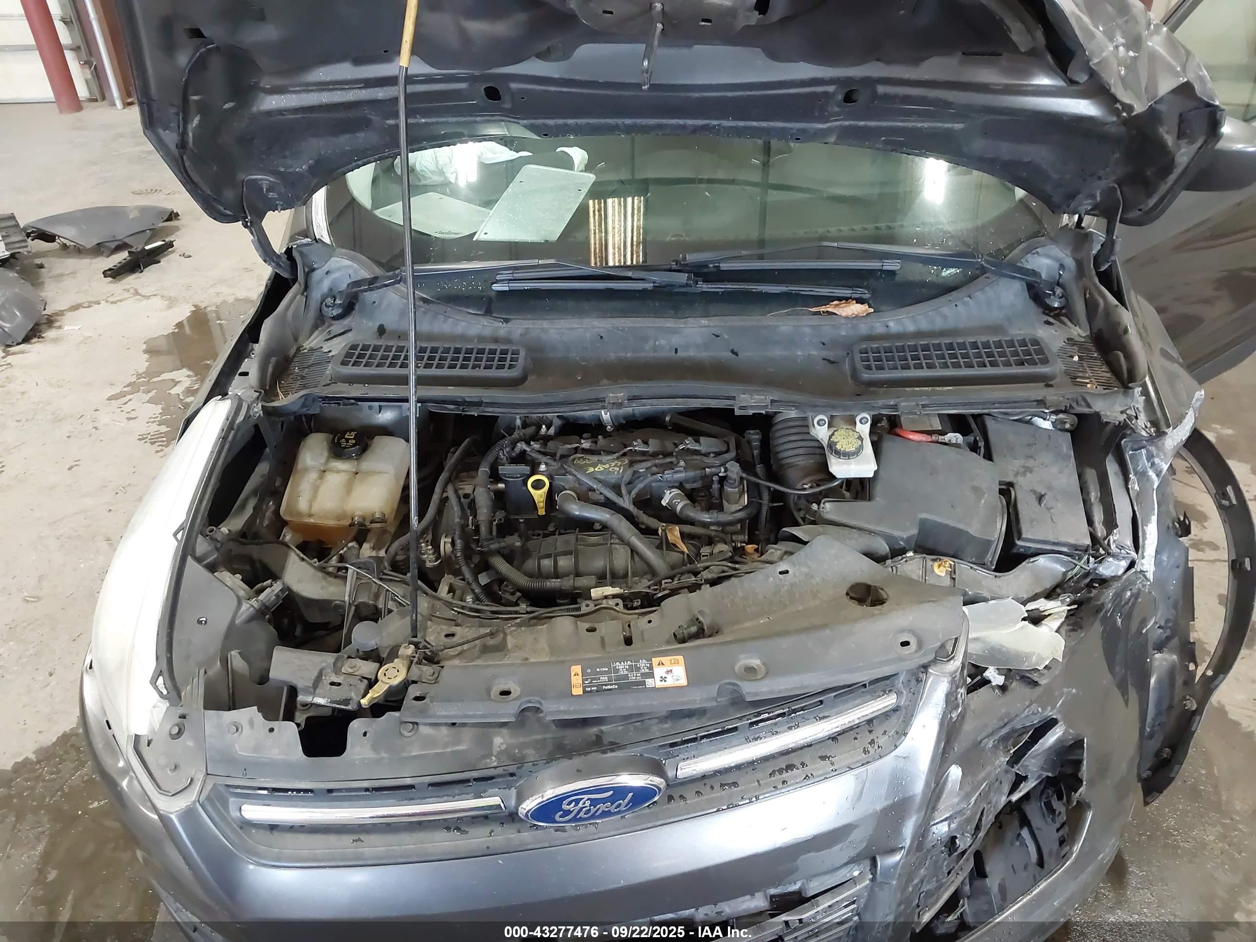 FORD ESCAPE image 10