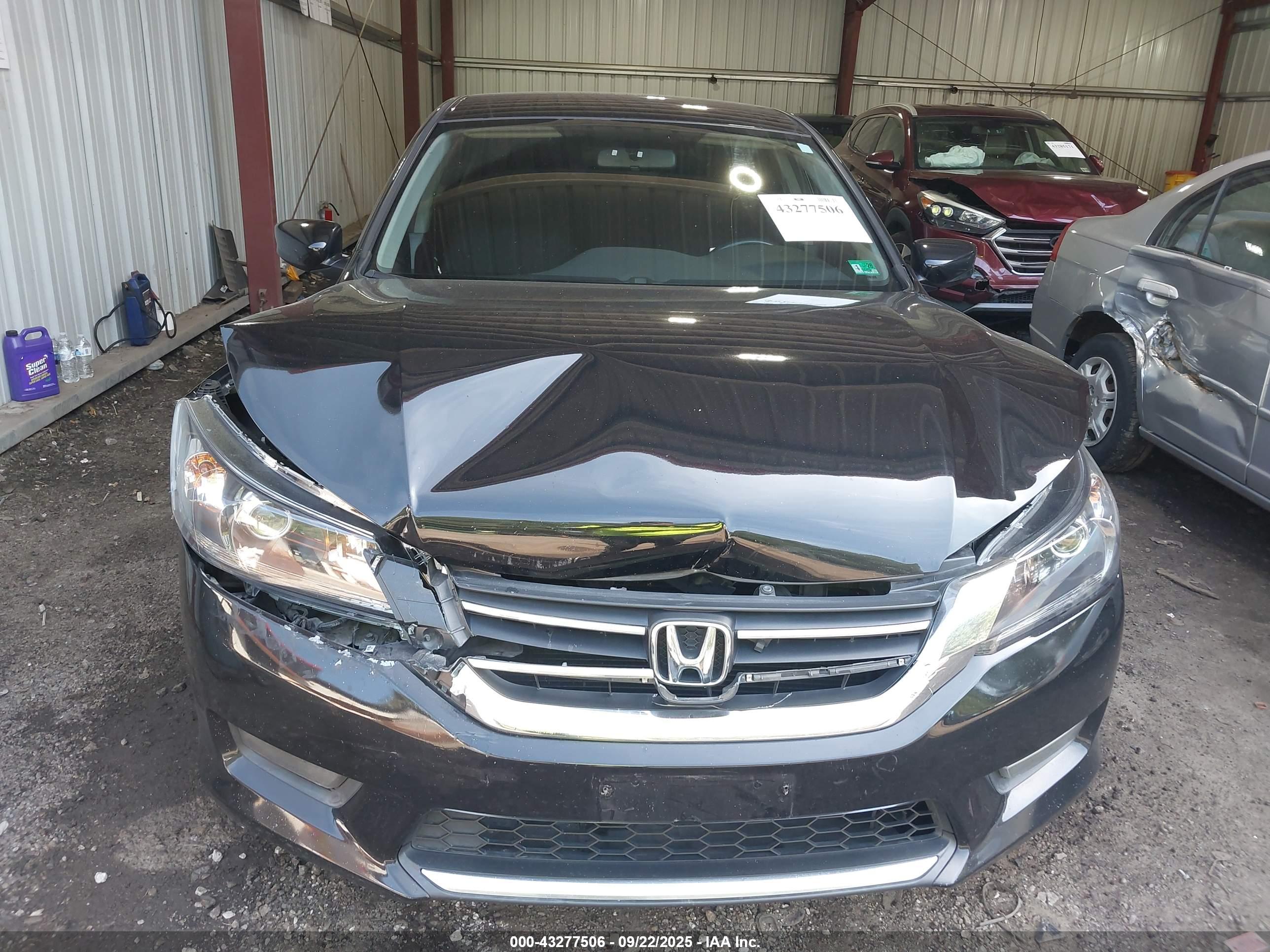 HONDA ACCORD image 6
