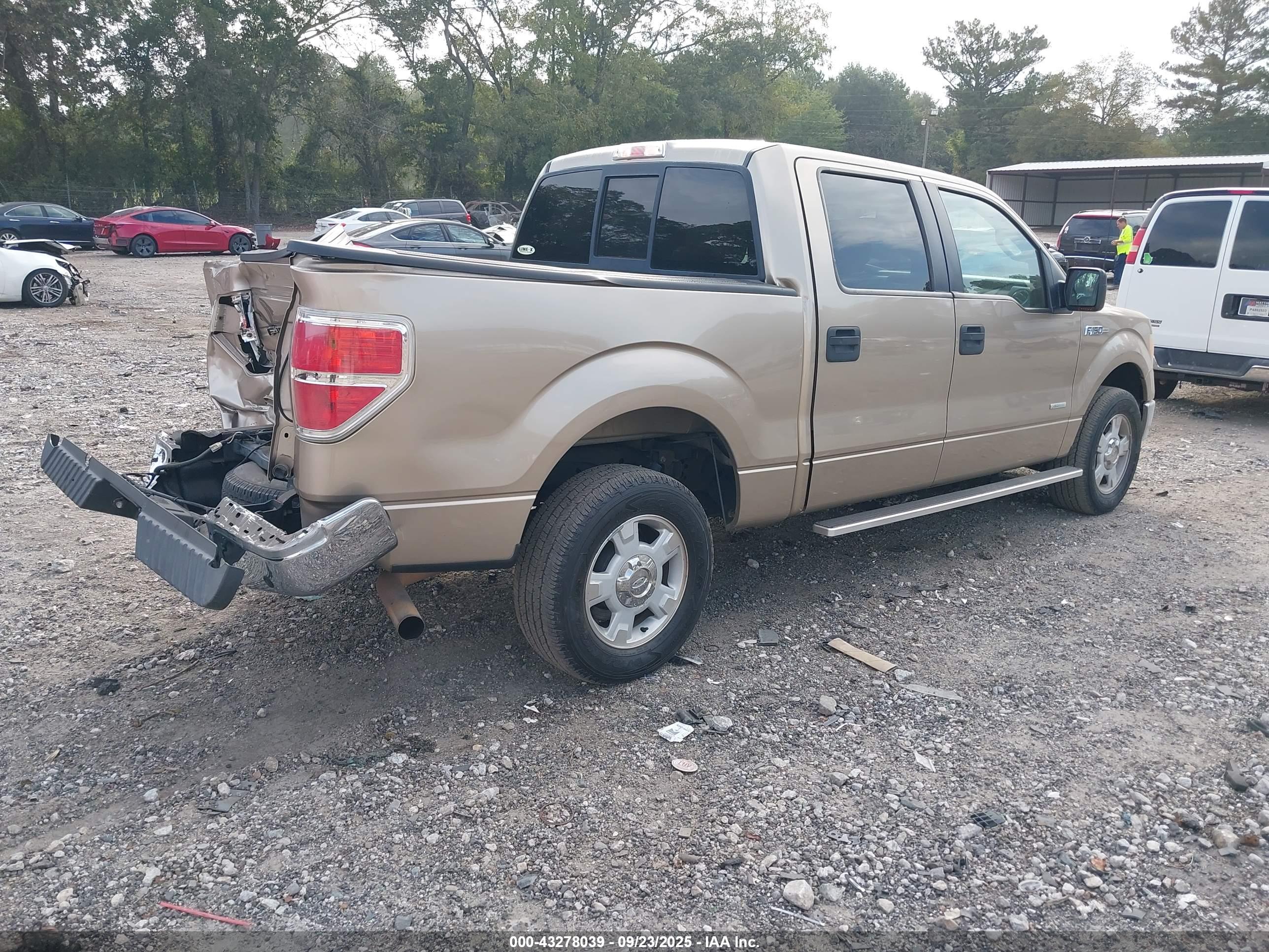 FORD F-150 image 4