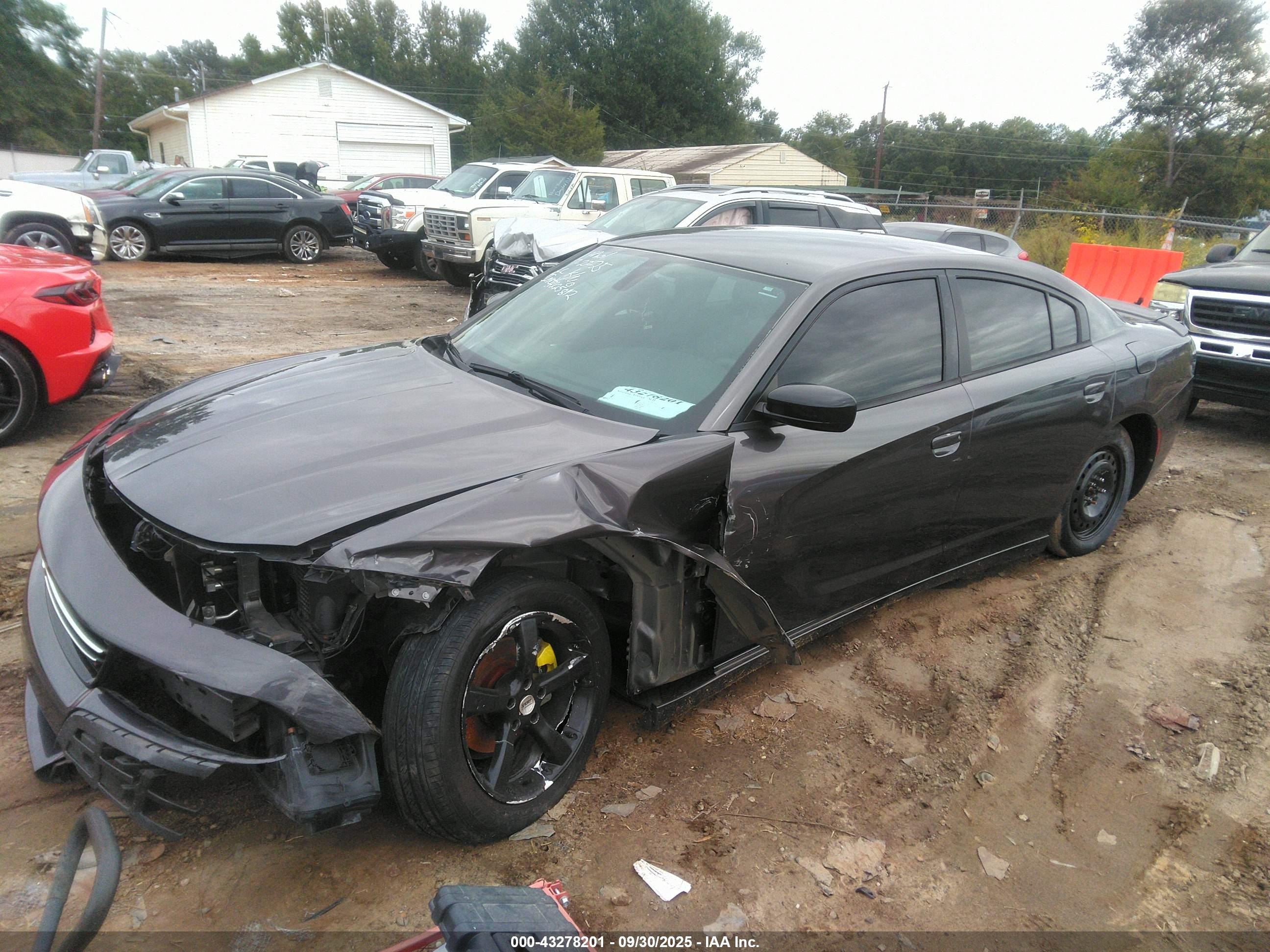 DODGE CHARGER image 2