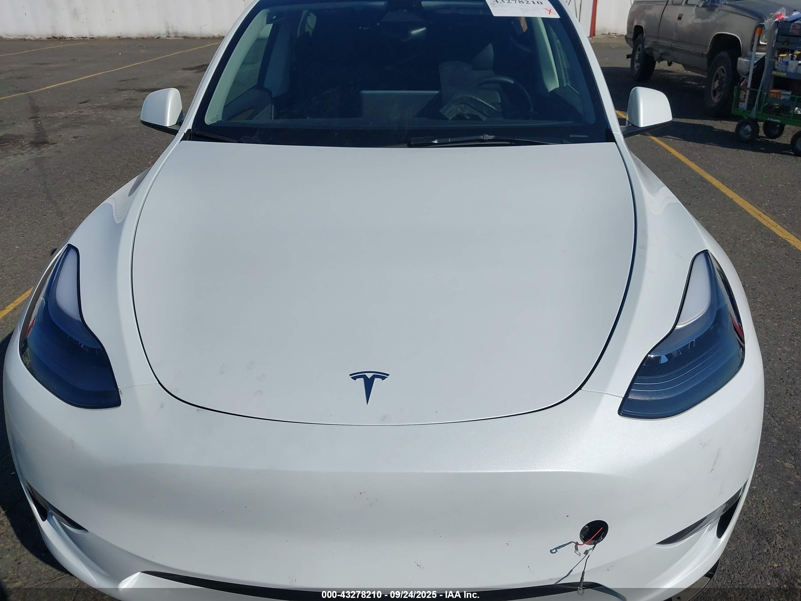 TESLA MODEL image 10