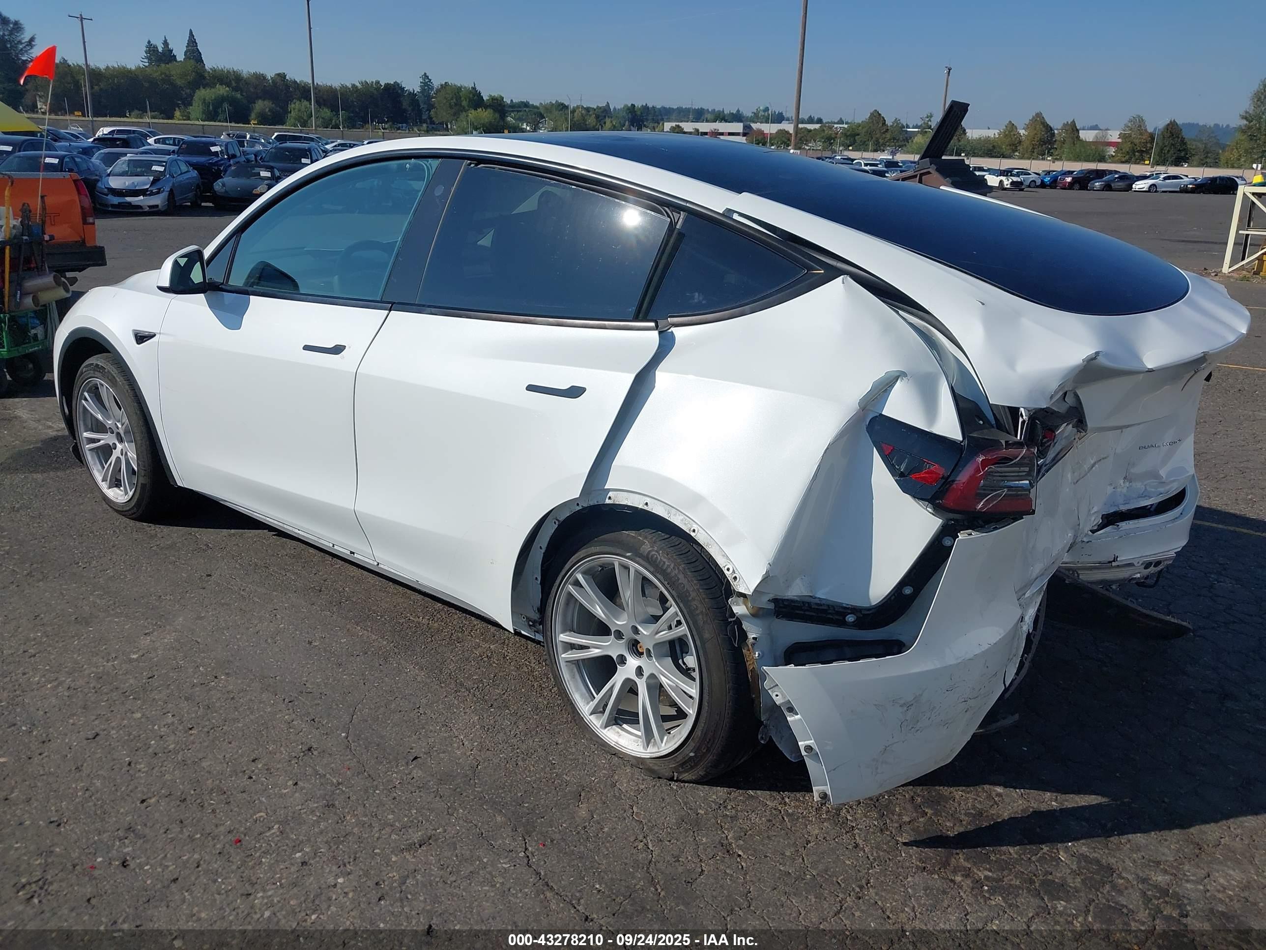 TESLA MODEL image 3
