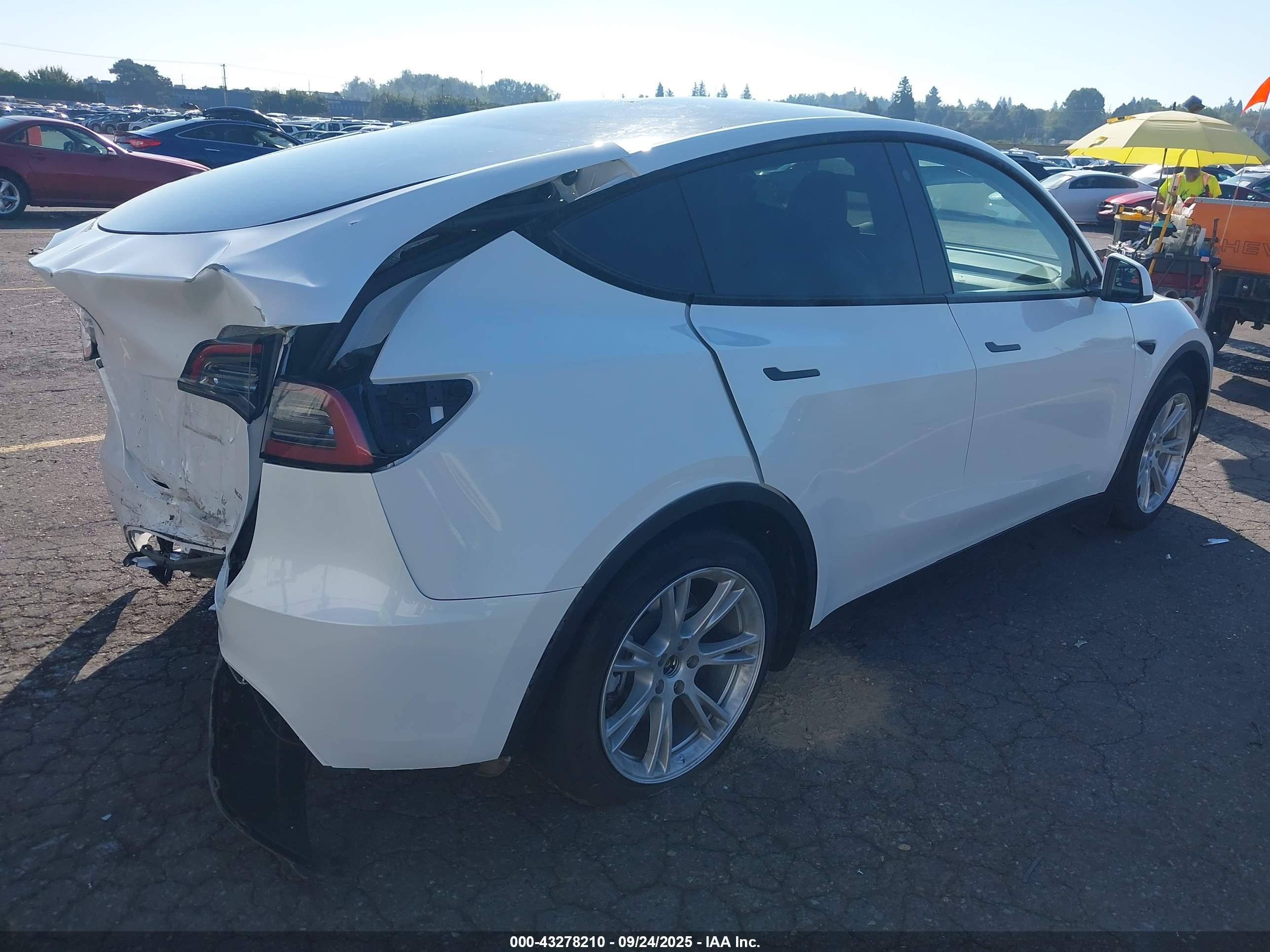 TESLA MODEL image 4