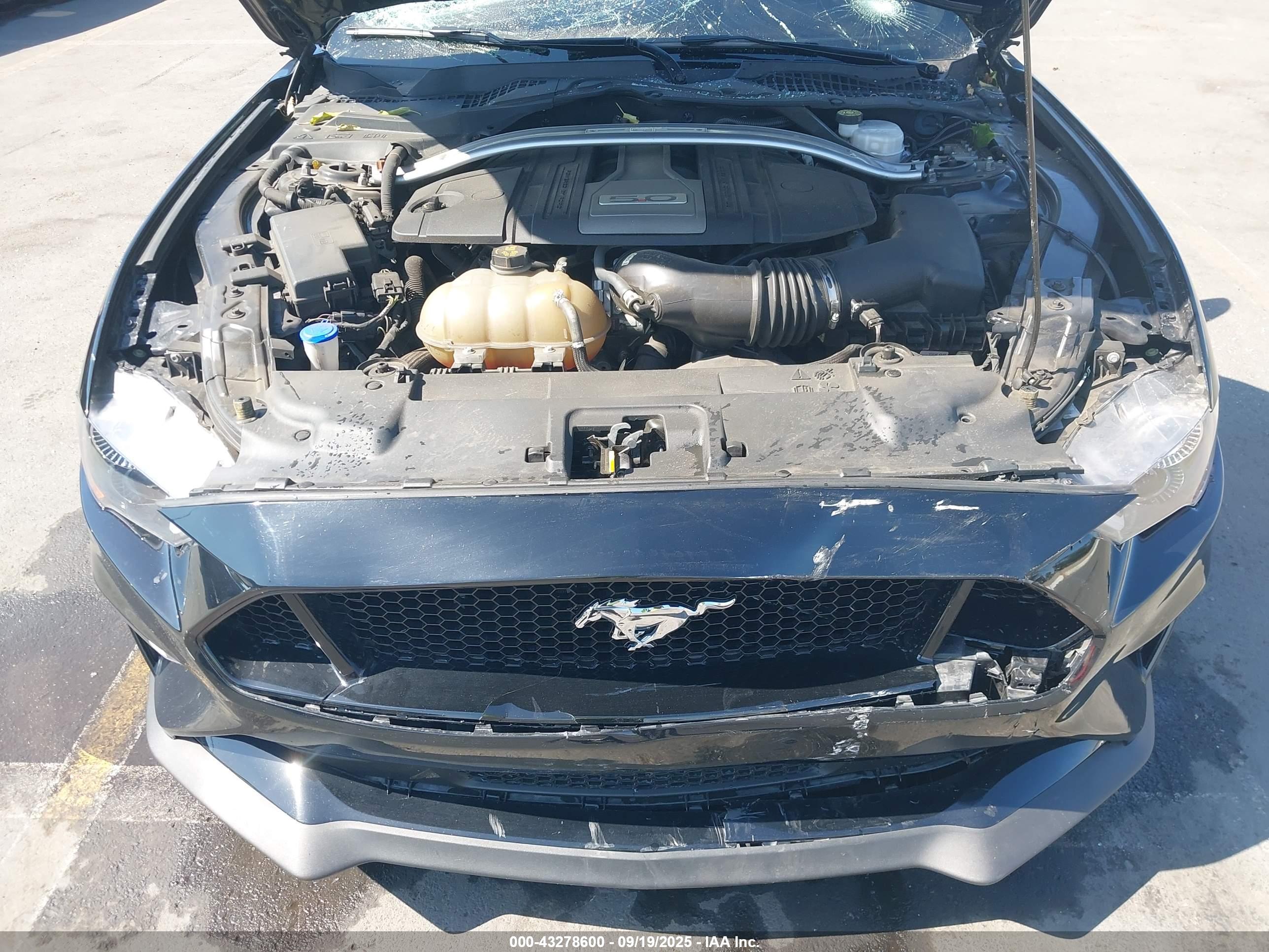 FORD MUSTANG image 10