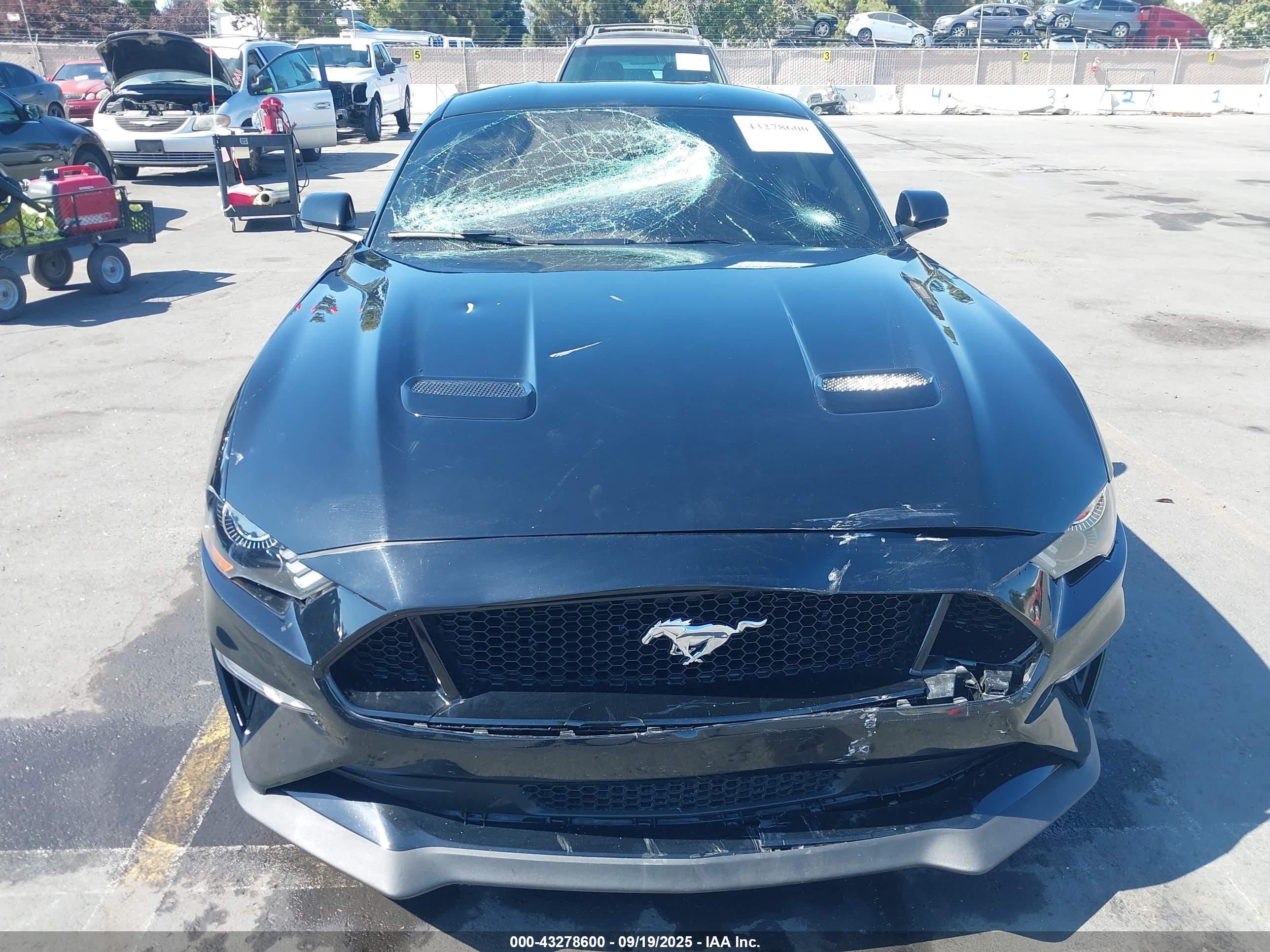 FORD MUSTANG image 6