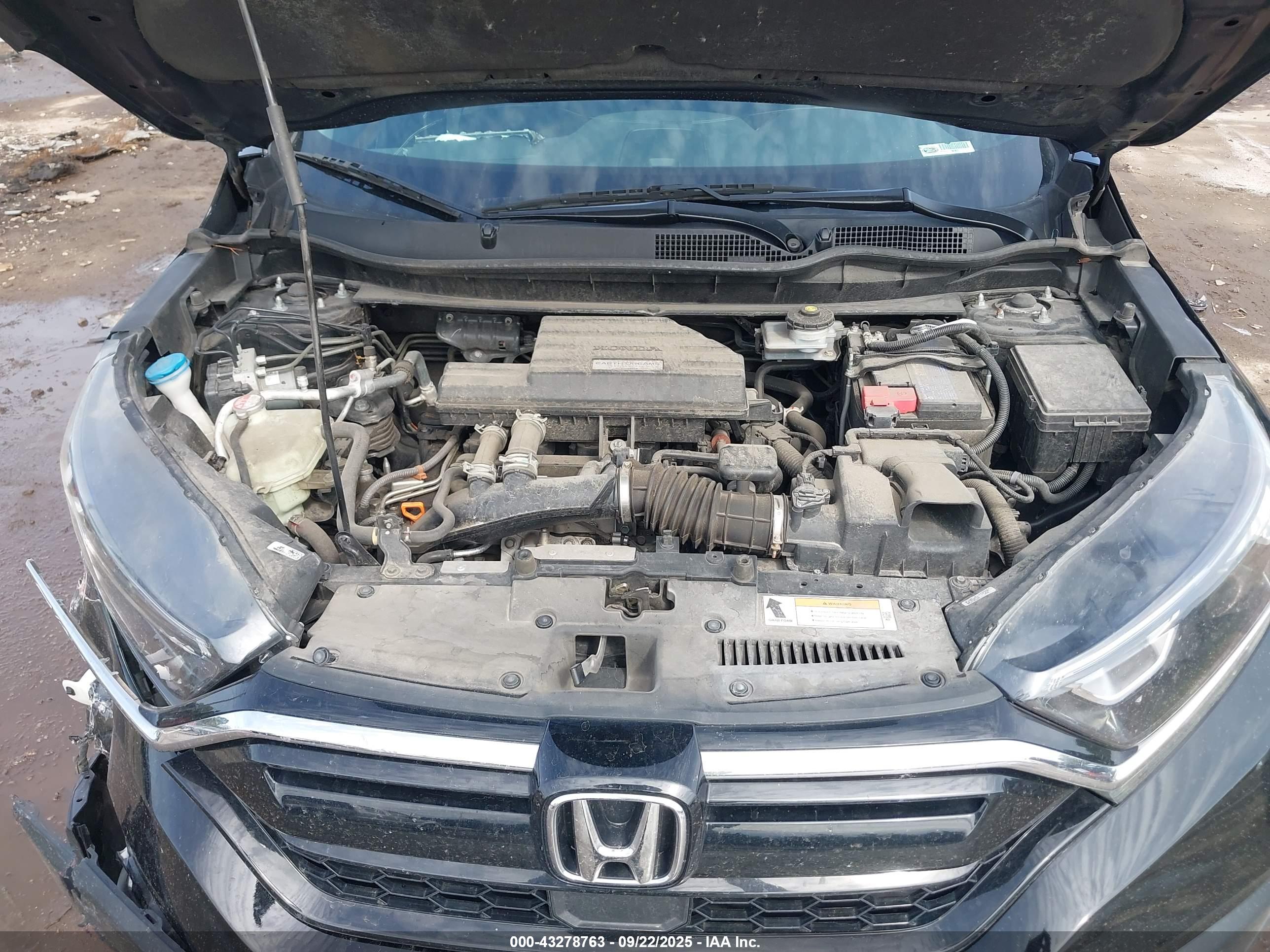 HONDA CR-V image 10