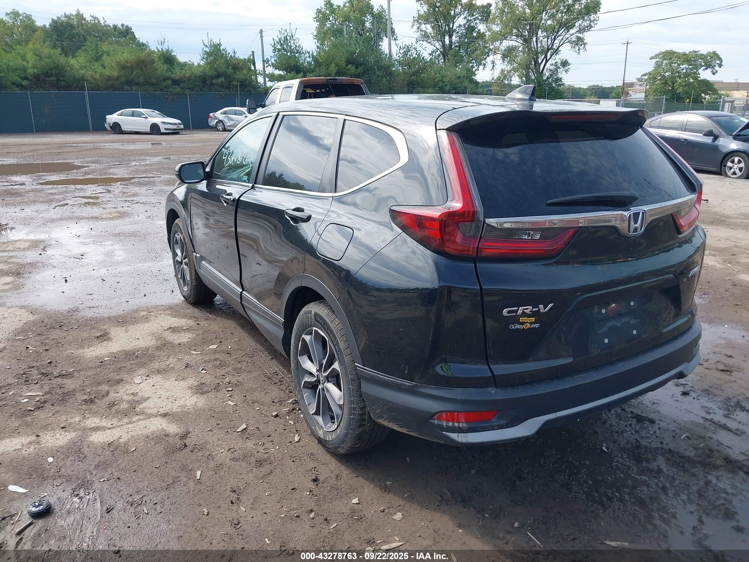 HONDA CR-V image 3