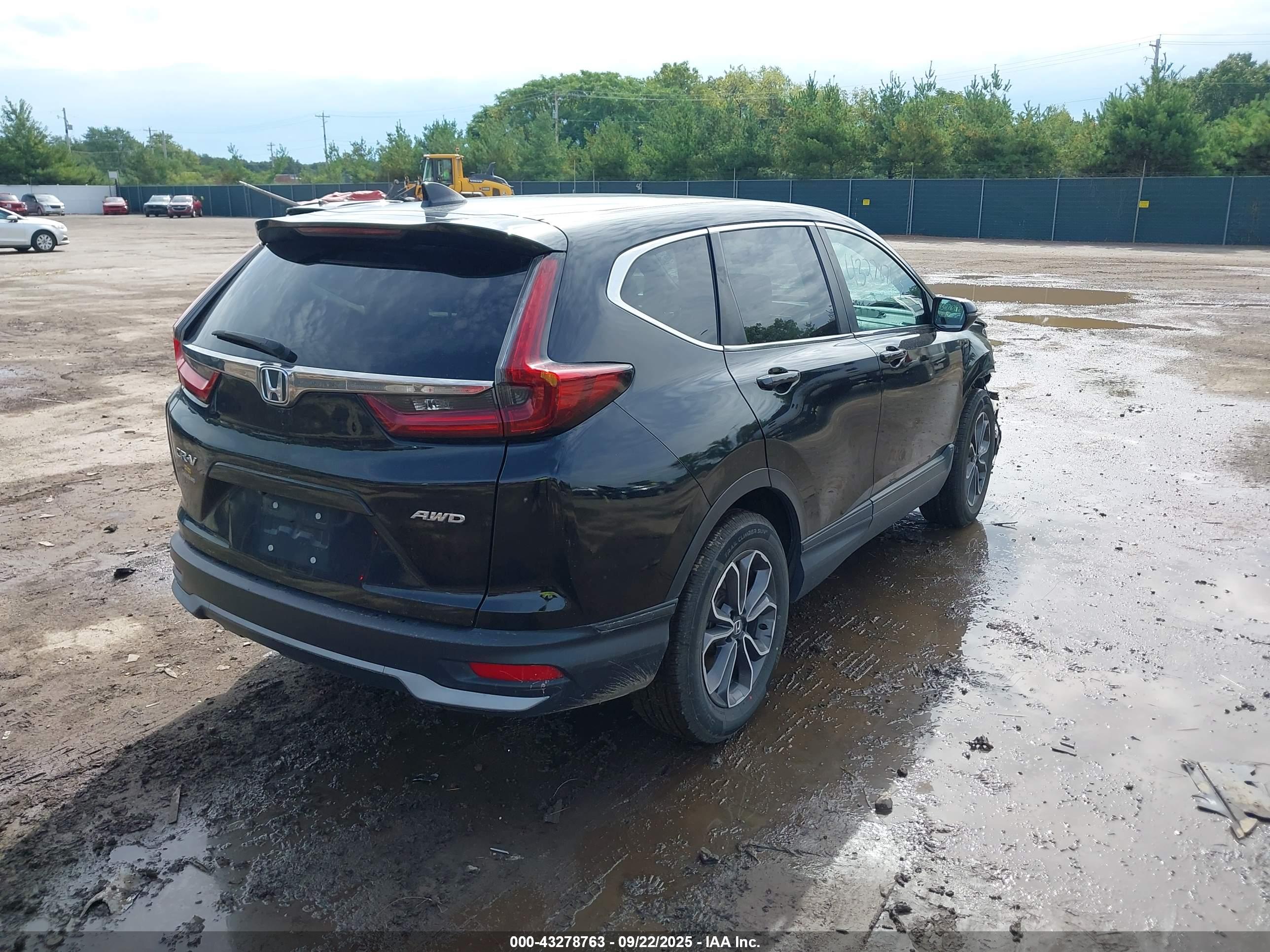 HONDA CR-V image 4