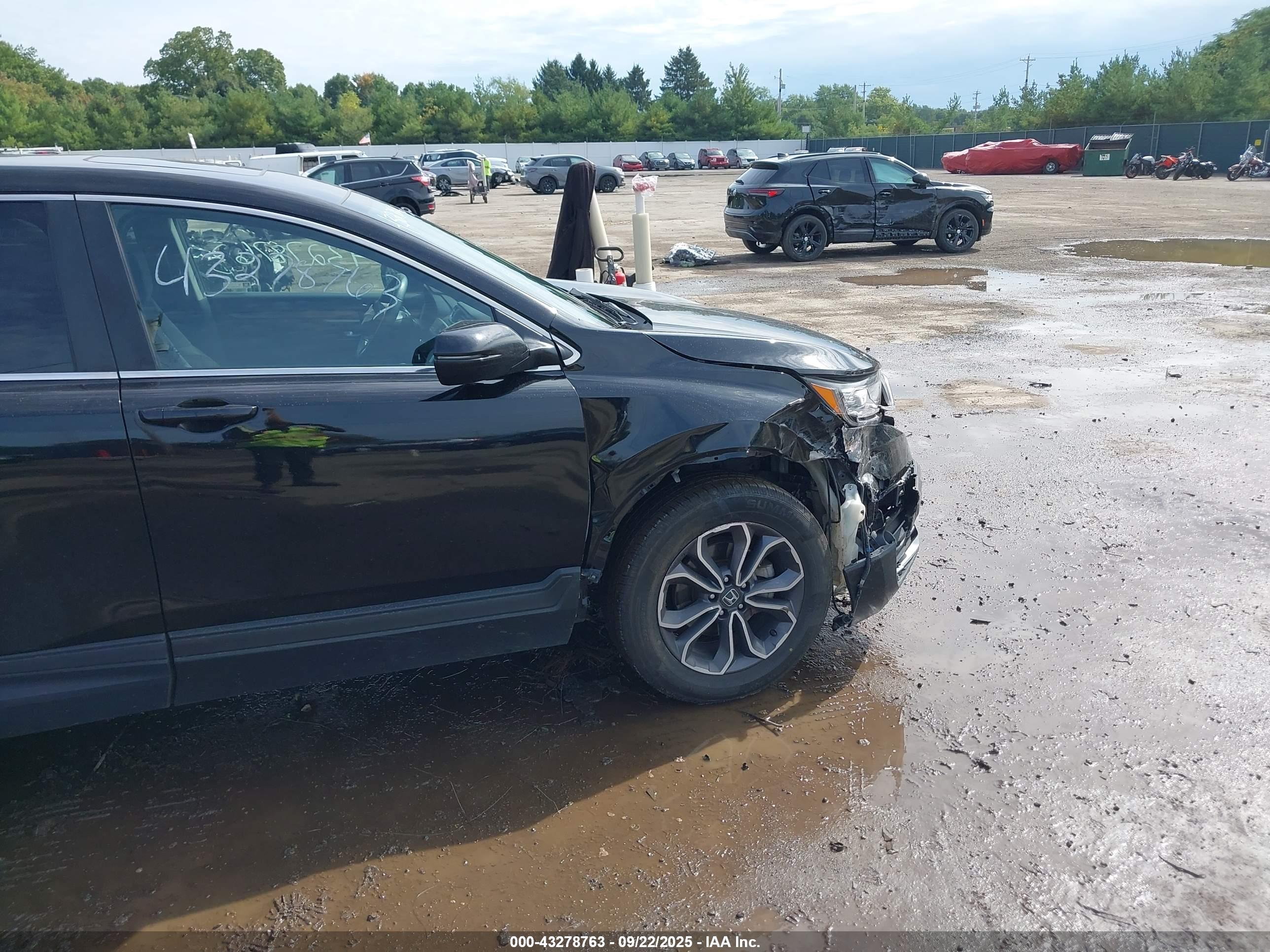 HONDA CR-V image 6