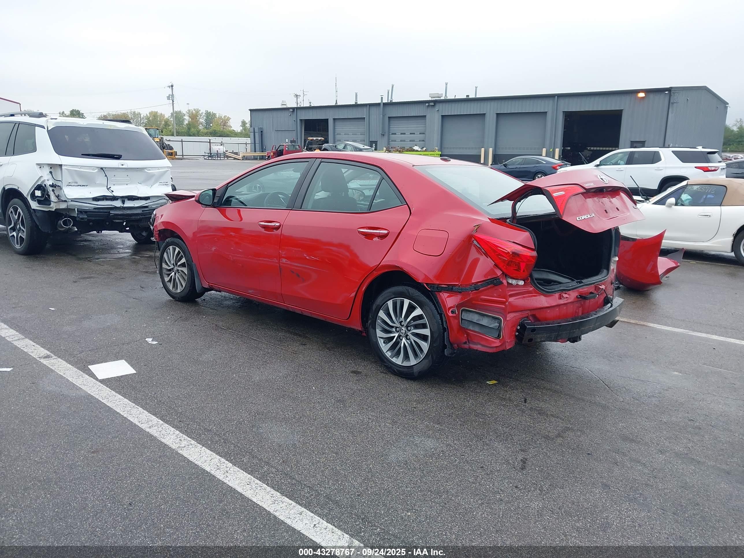 TOYOTA COROLLA image 3