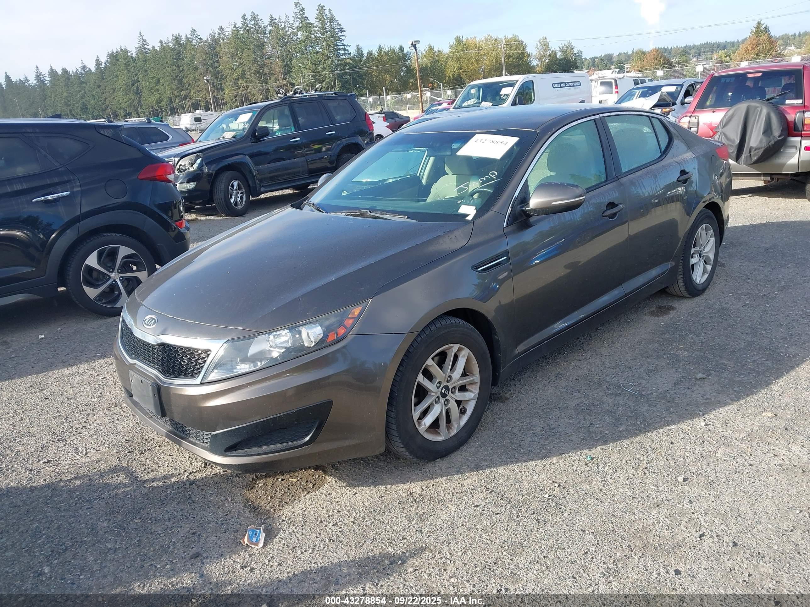 KIA OPTIMA image 2