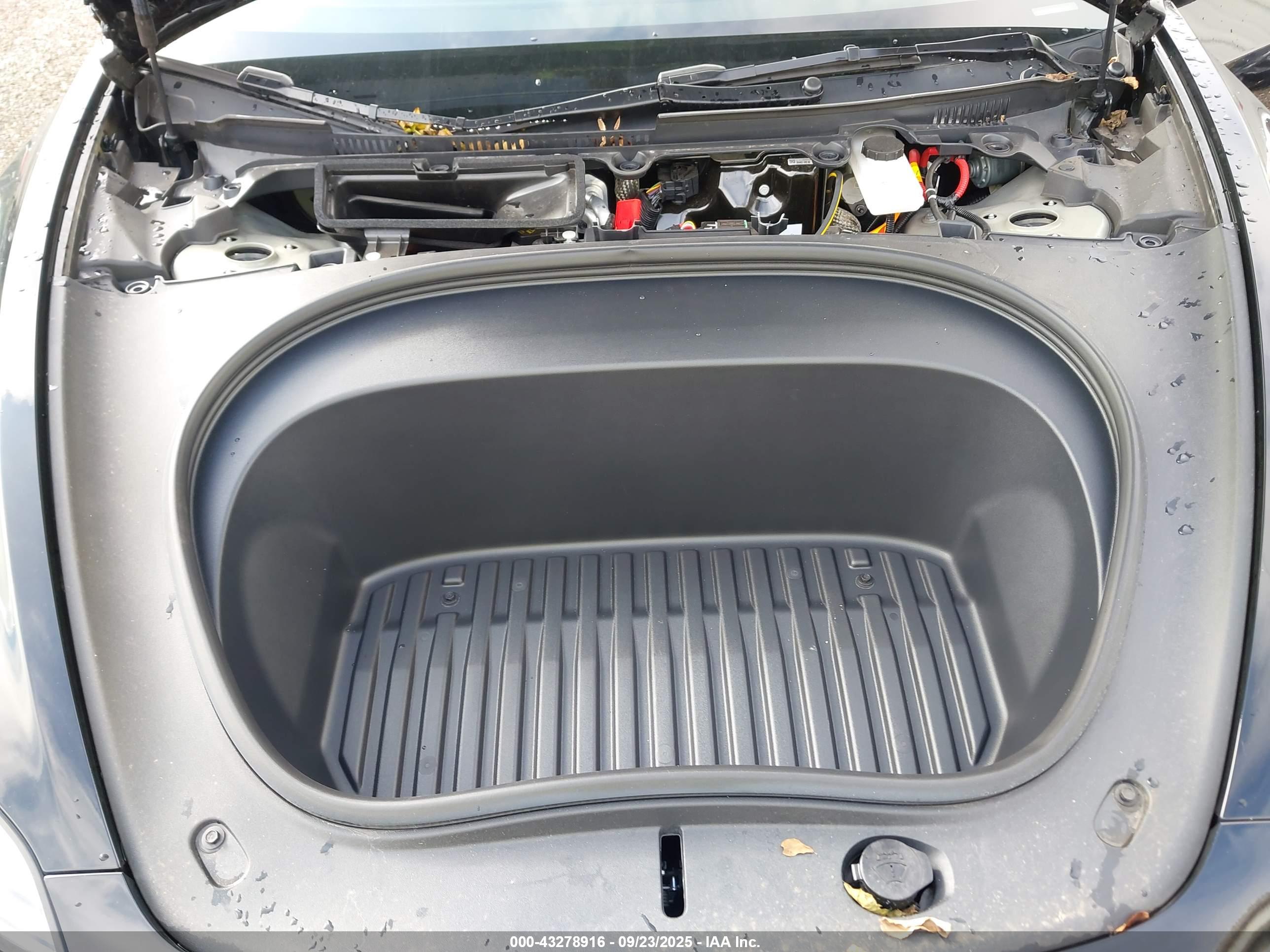 TESLA MODEL image 10