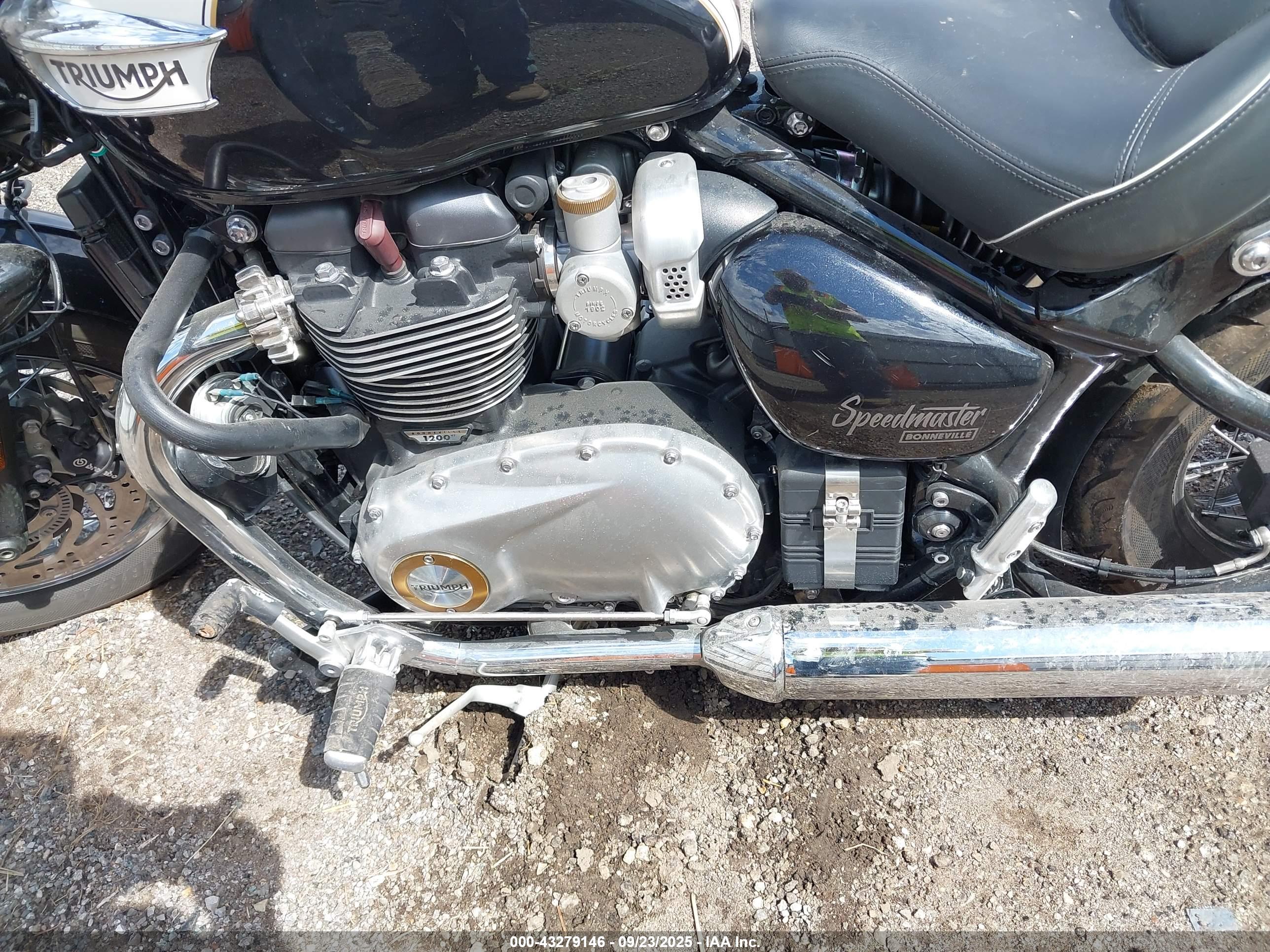 TRIUMPH MOTORCYCLE image 9