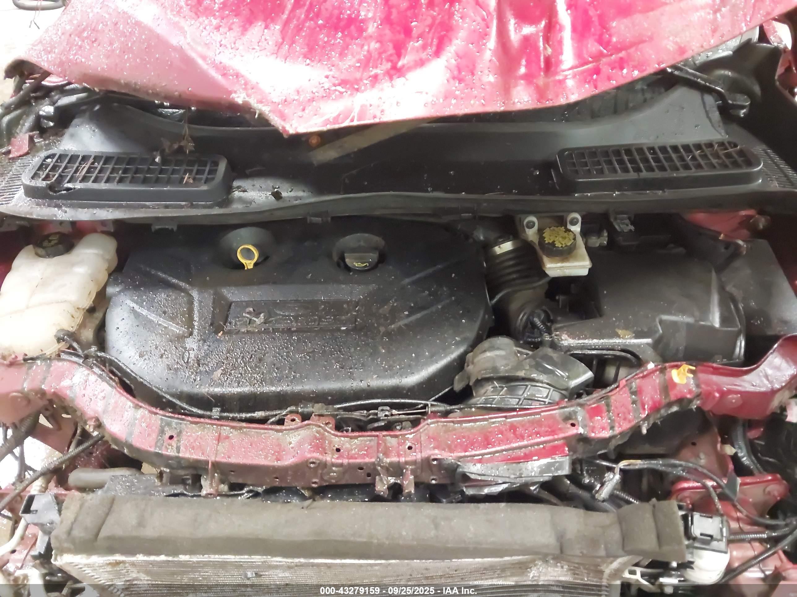 FORD ESCAPE image 10