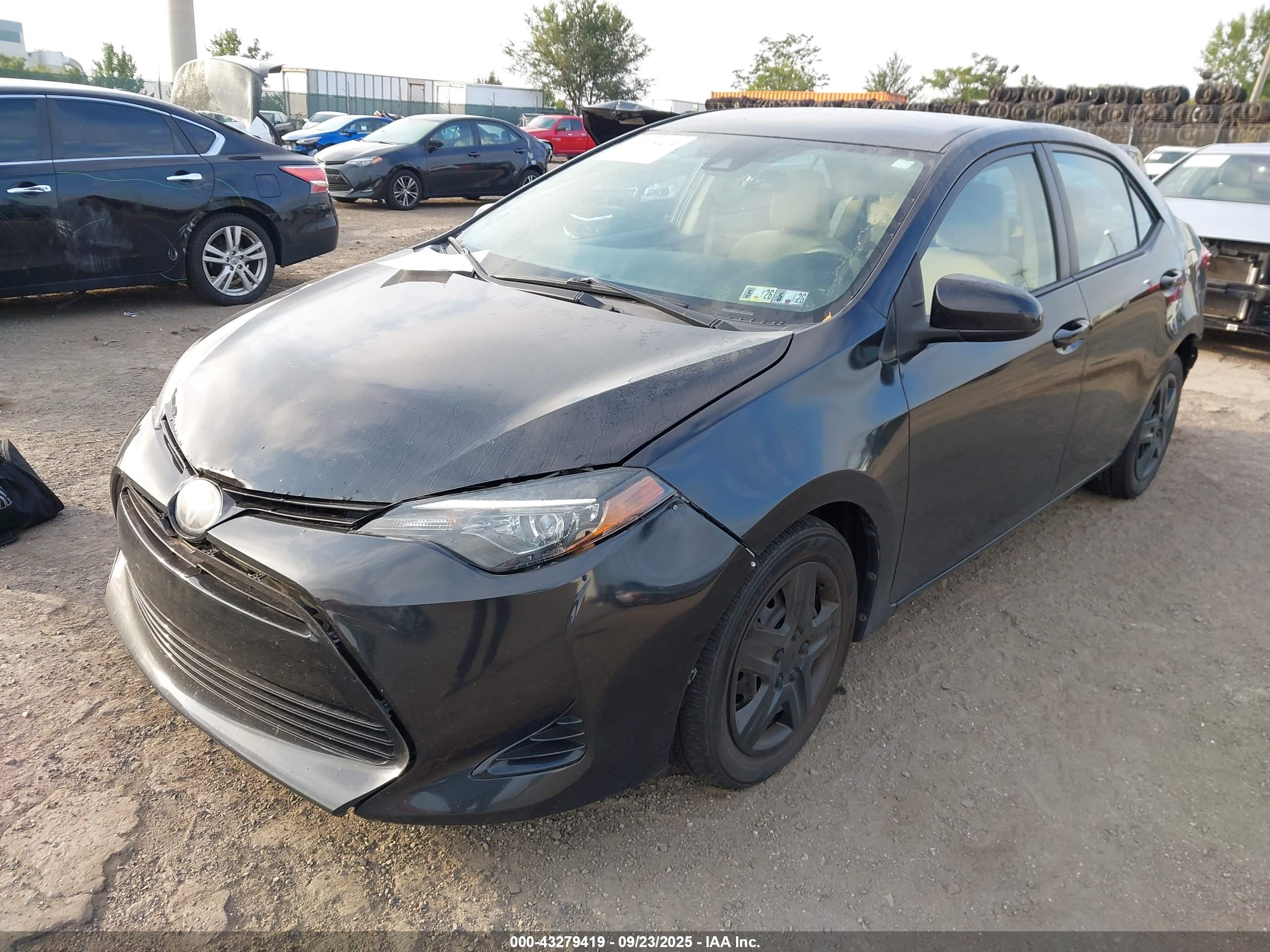 TOYOTA COROLLA image 2