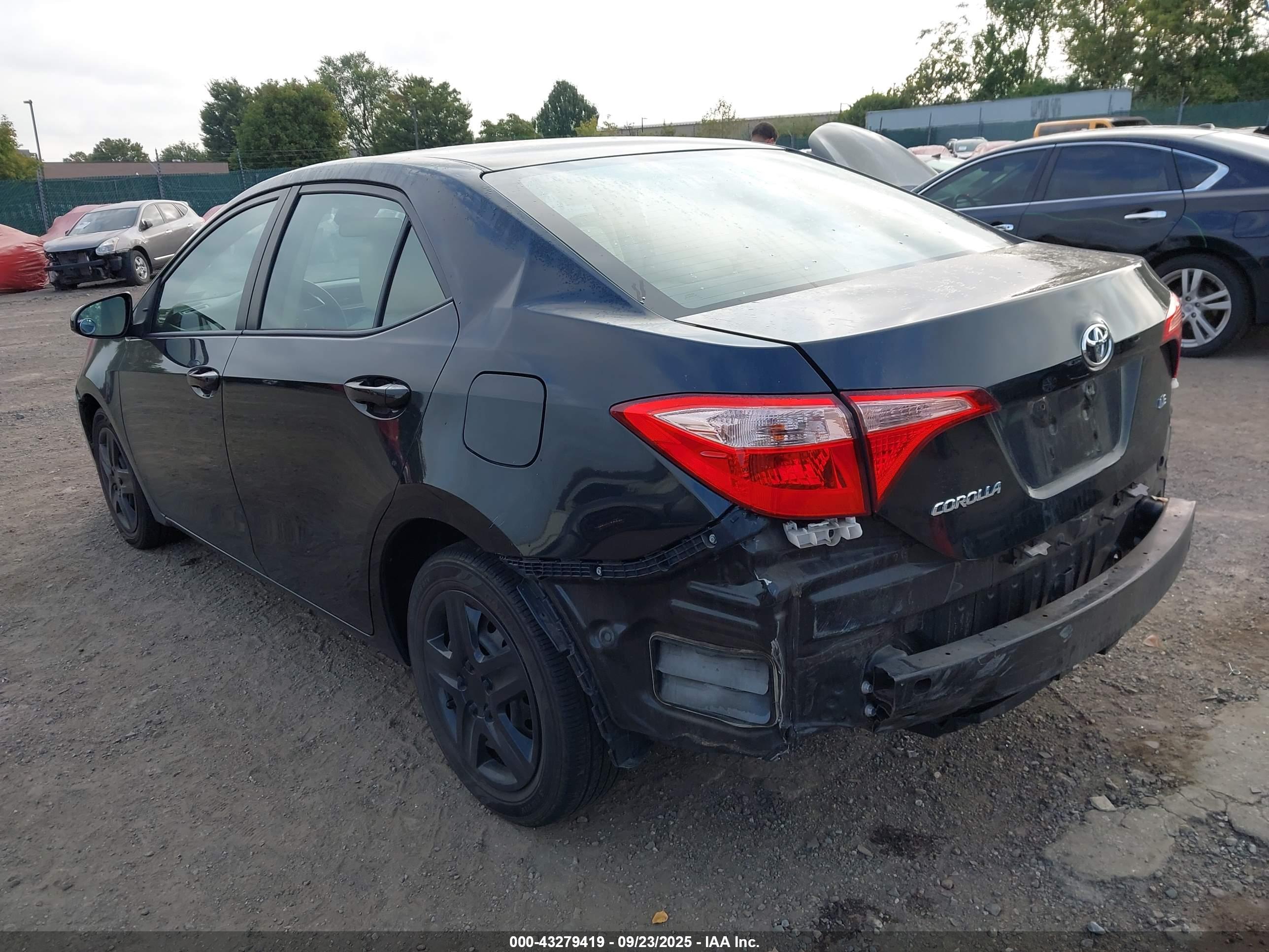 TOYOTA COROLLA image 3