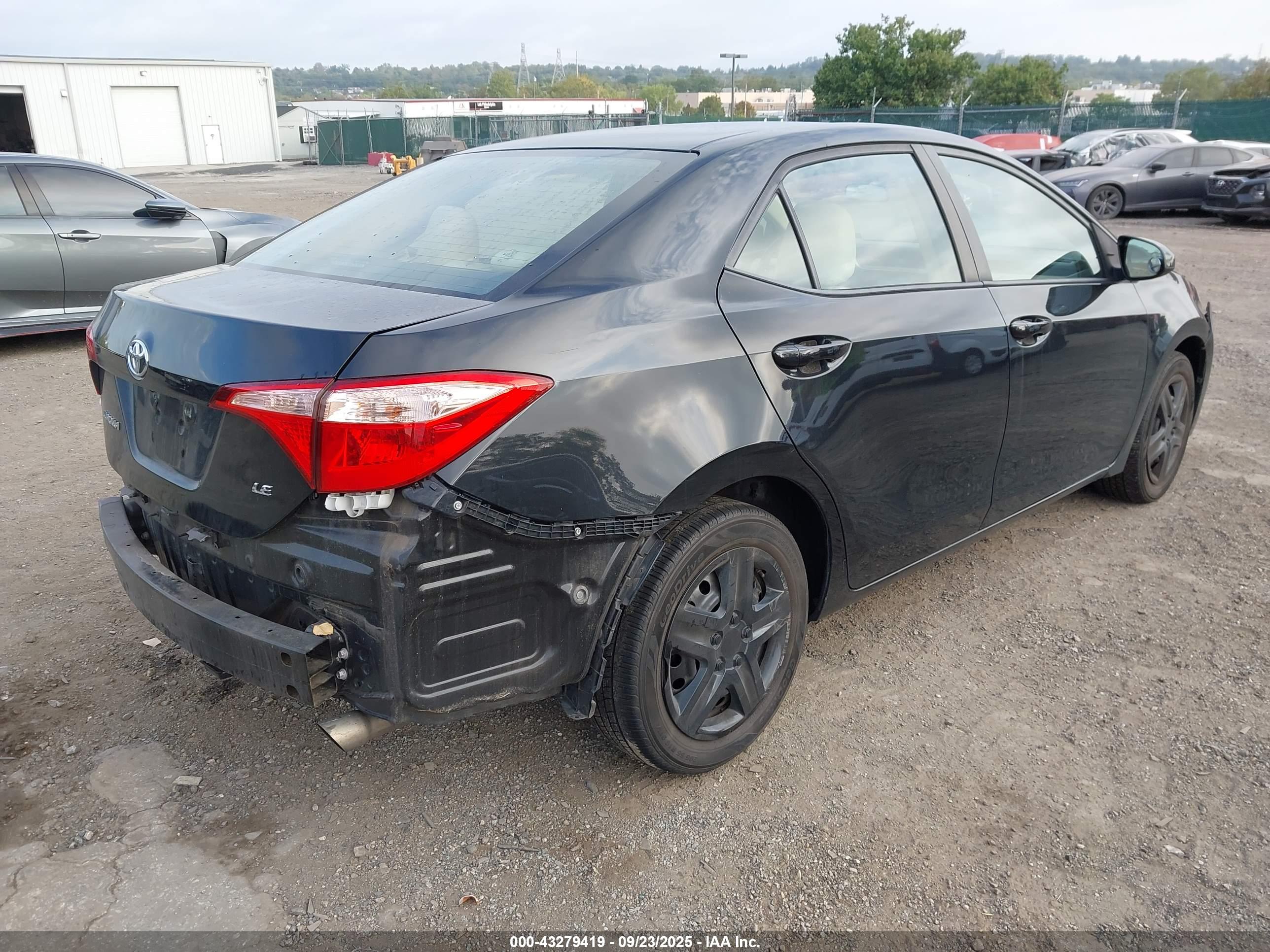 TOYOTA COROLLA image 4