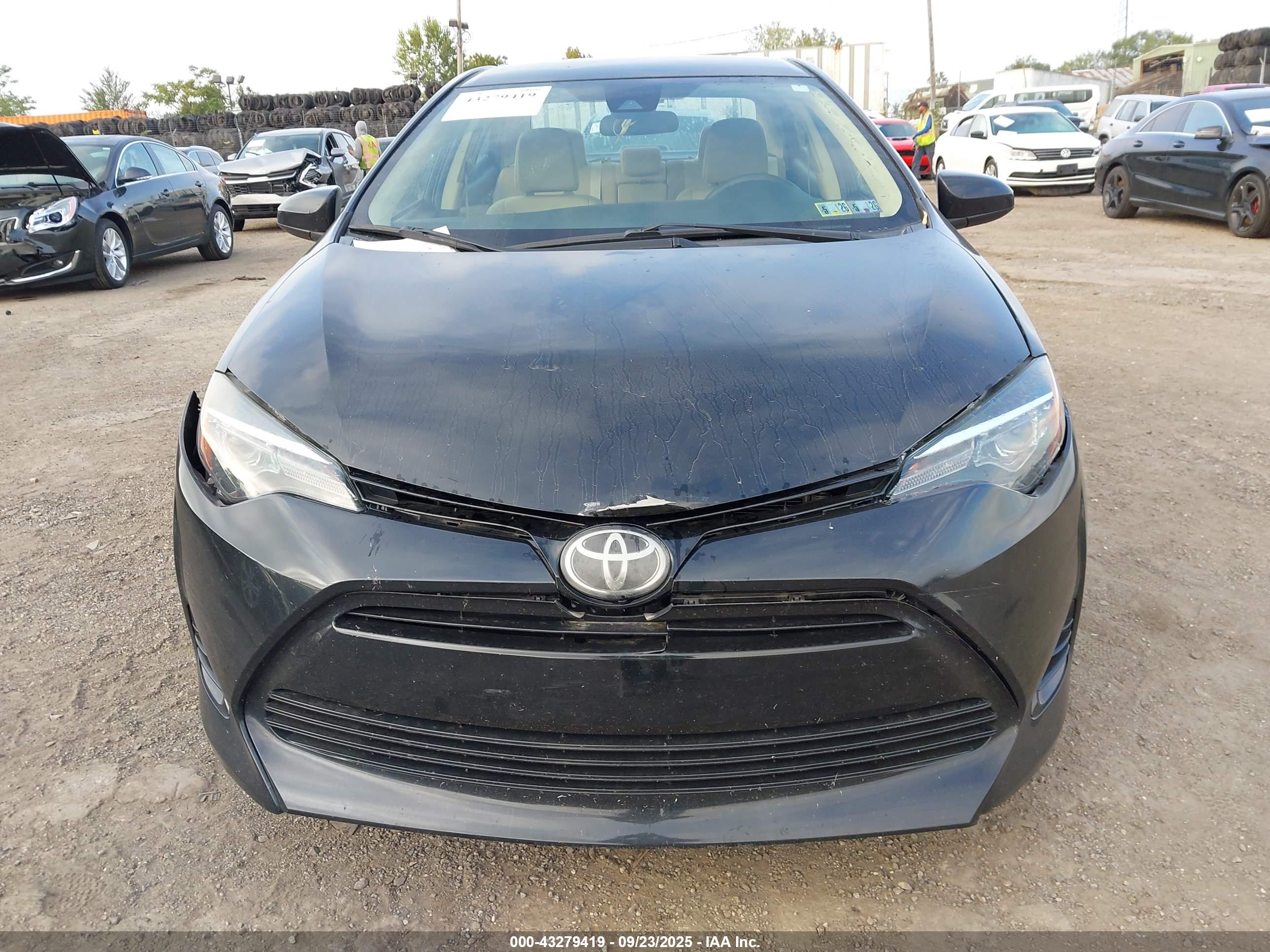 TOYOTA COROLLA image 6
