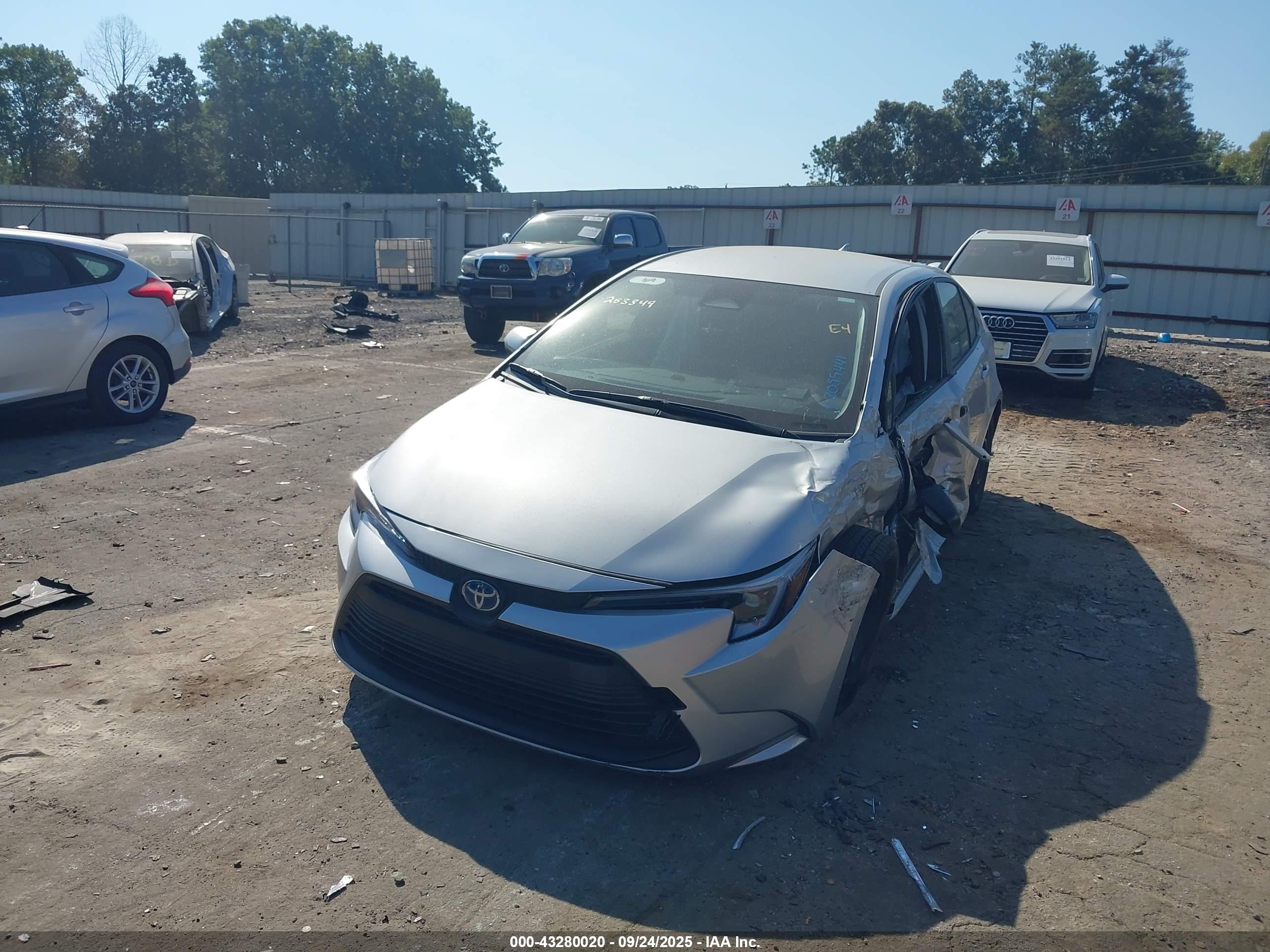 TOYOTA COROLLA image 2