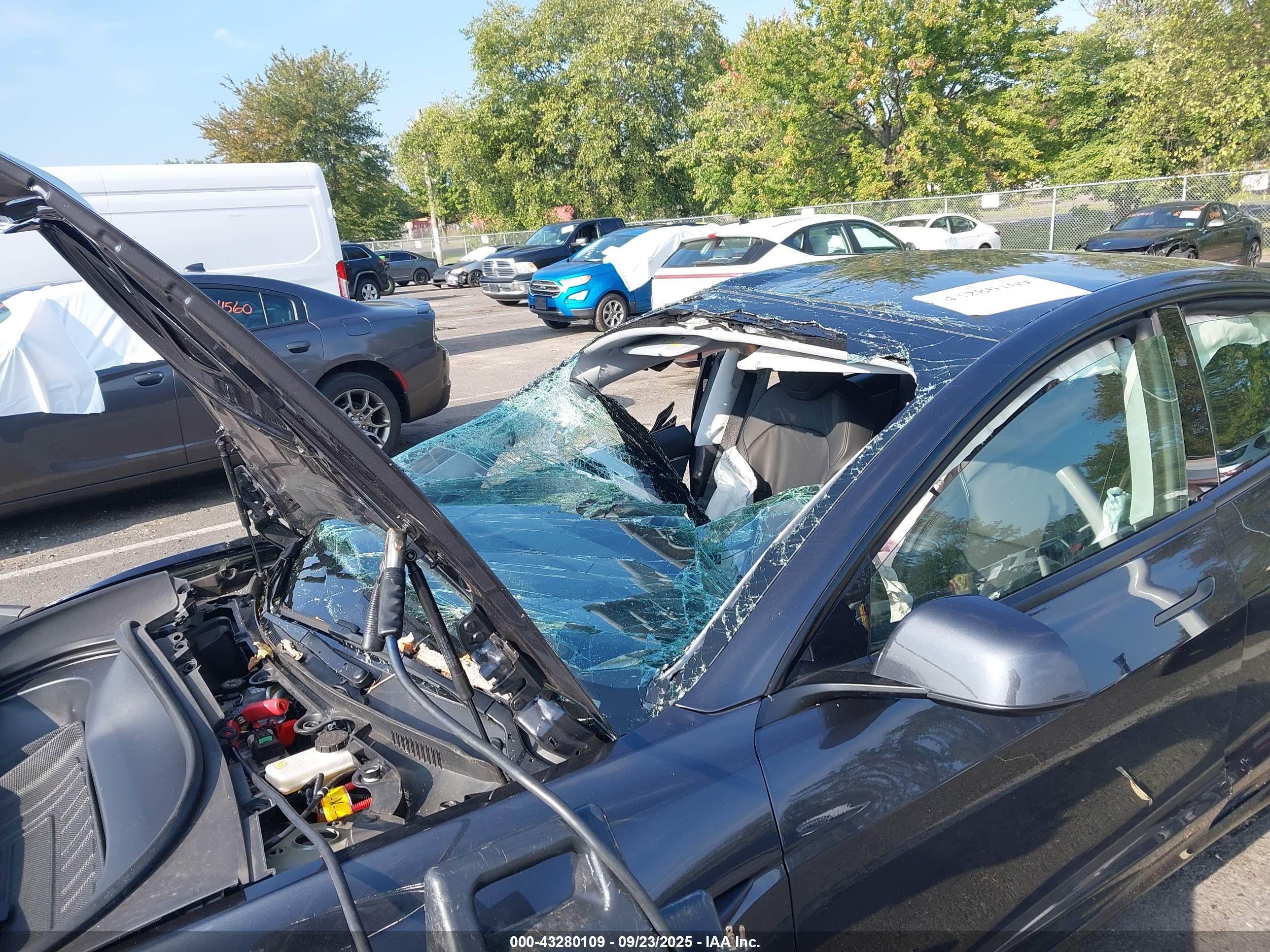 TESLA MODEL image 6