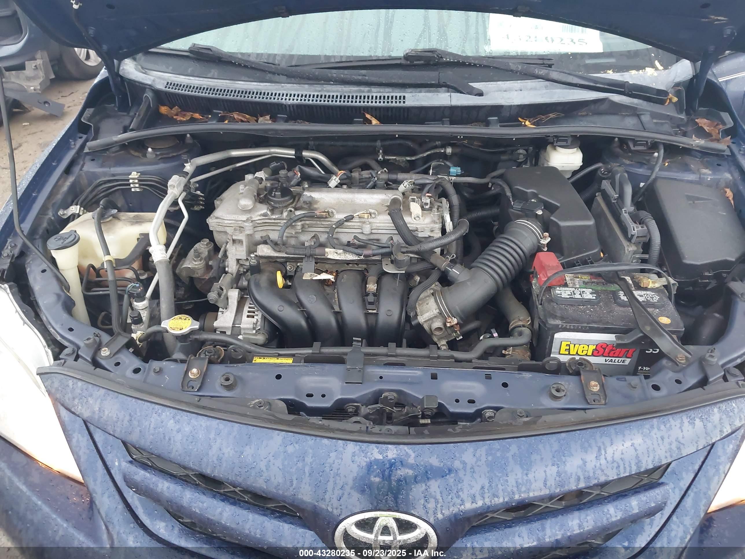 TOYOTA COROLLA image 10