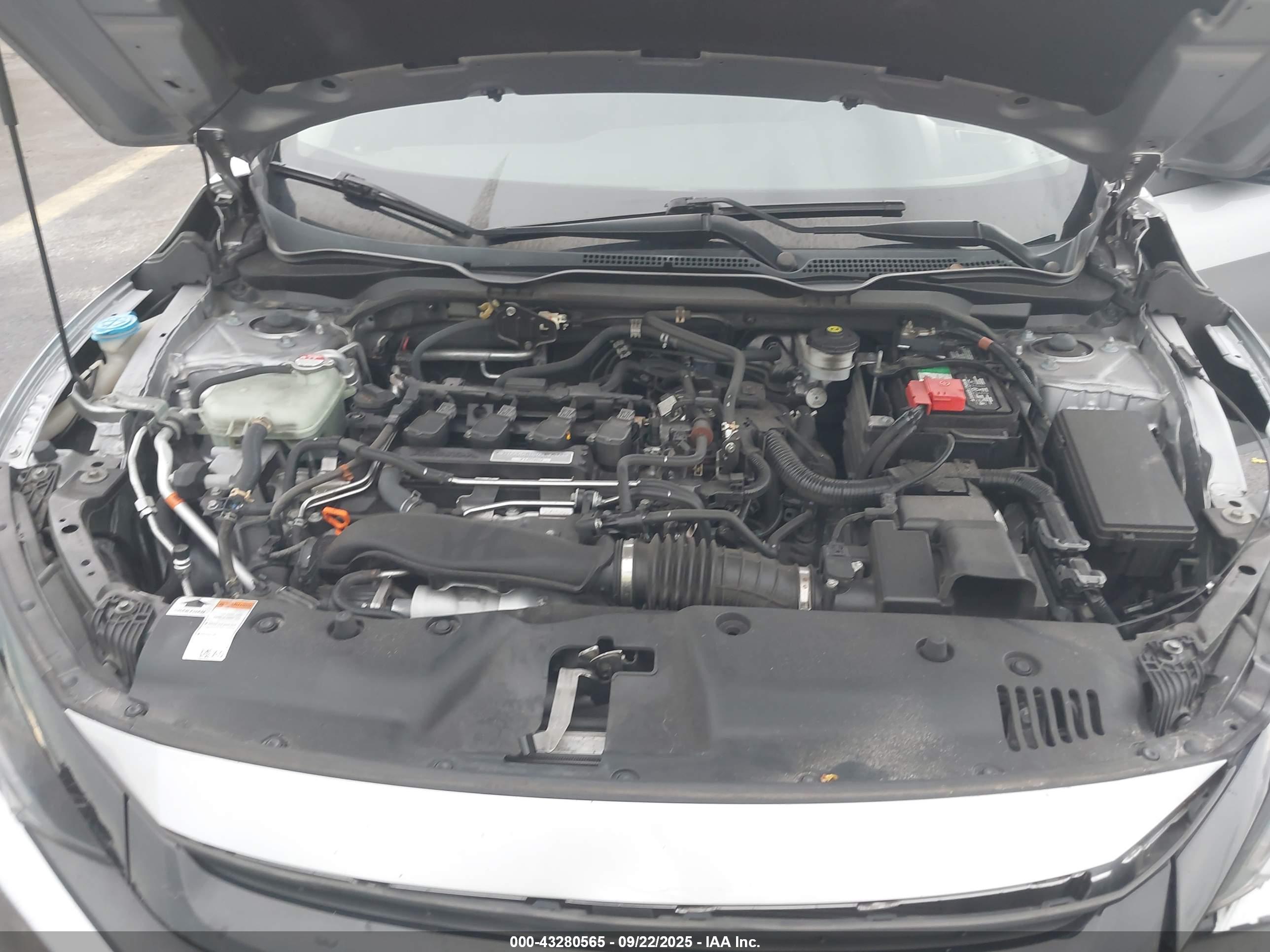 HONDA CIVIC image 10