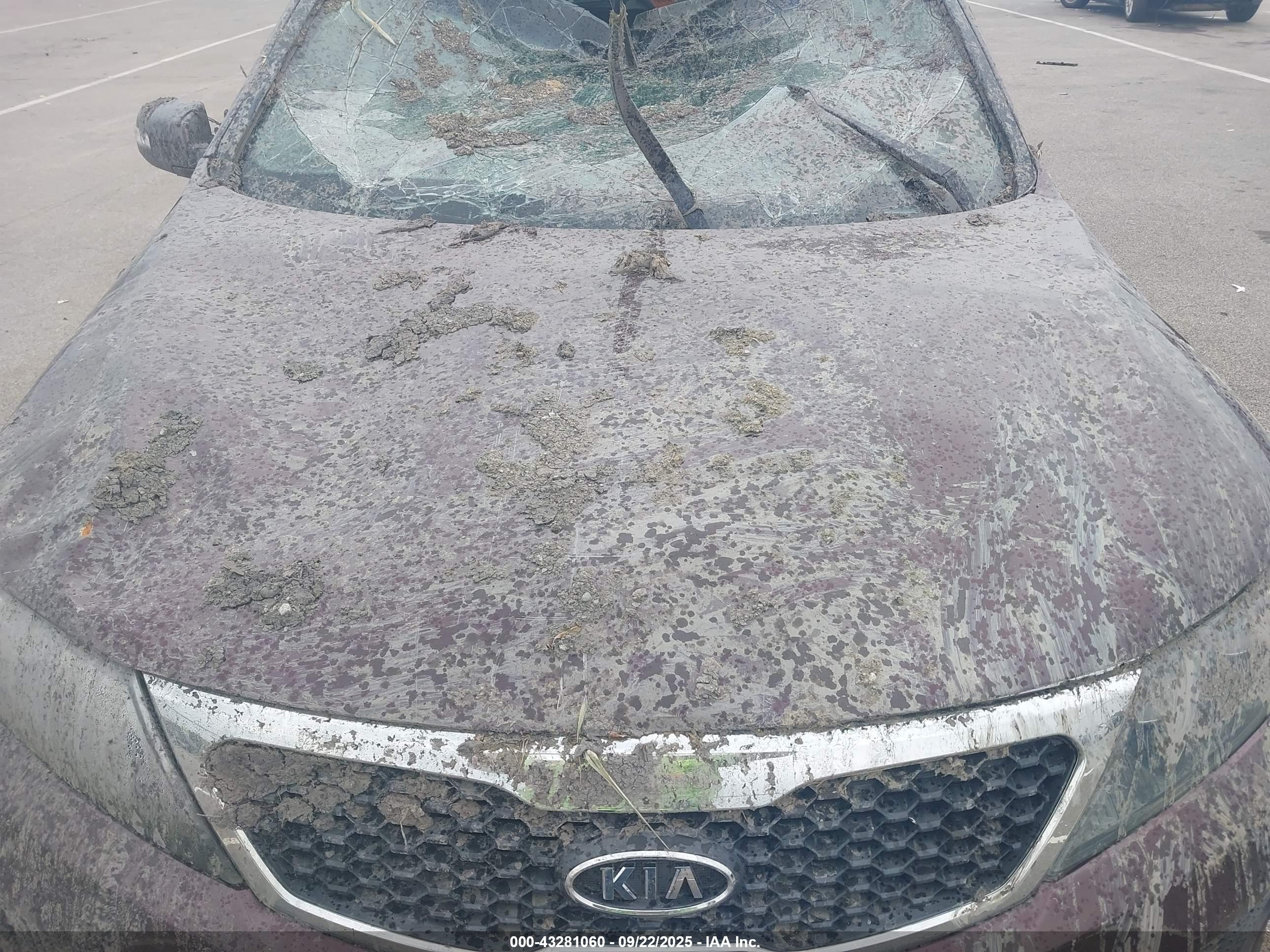 KIA SORENTO image 10