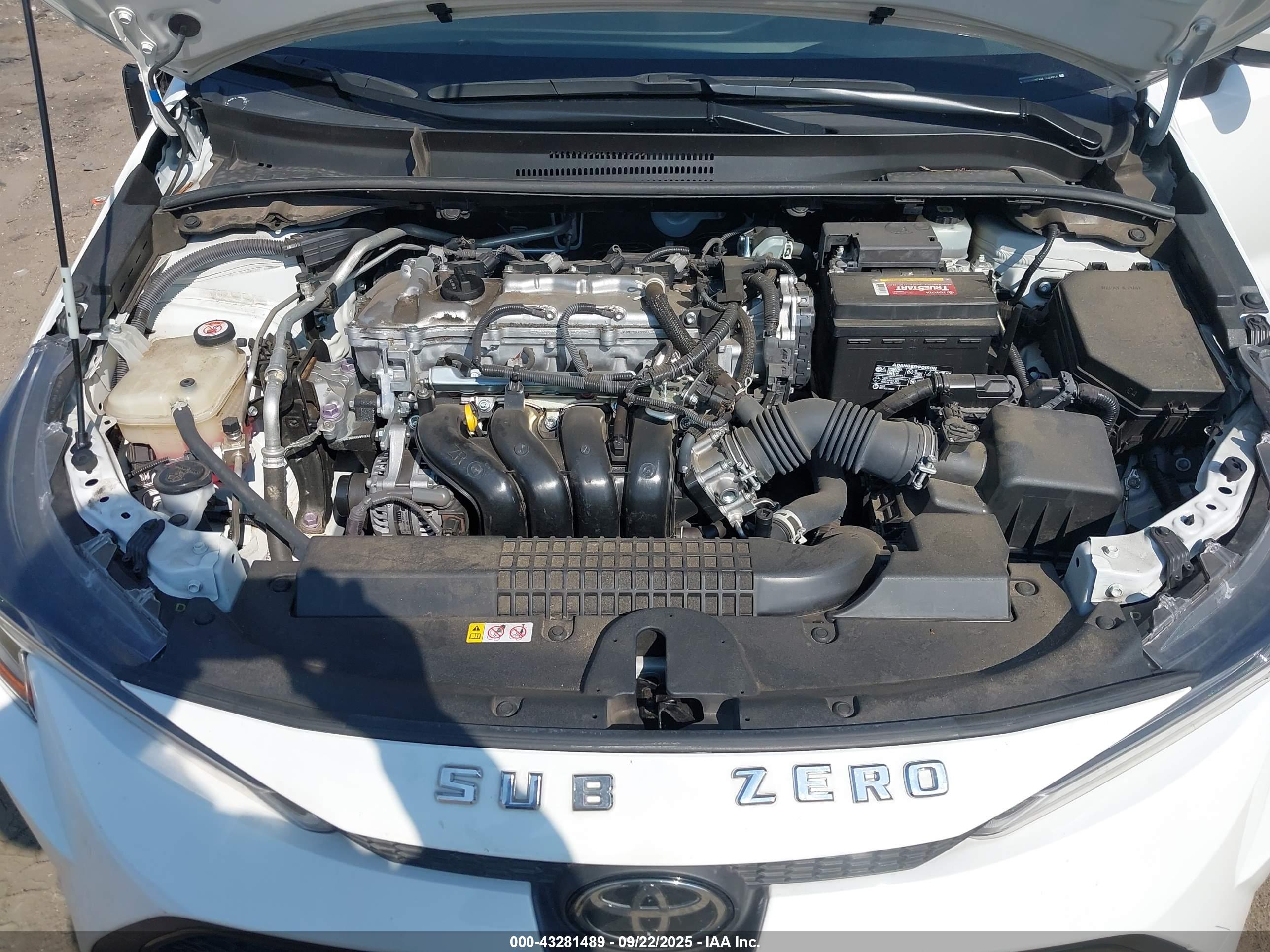 TOYOTA COROLLA image 10