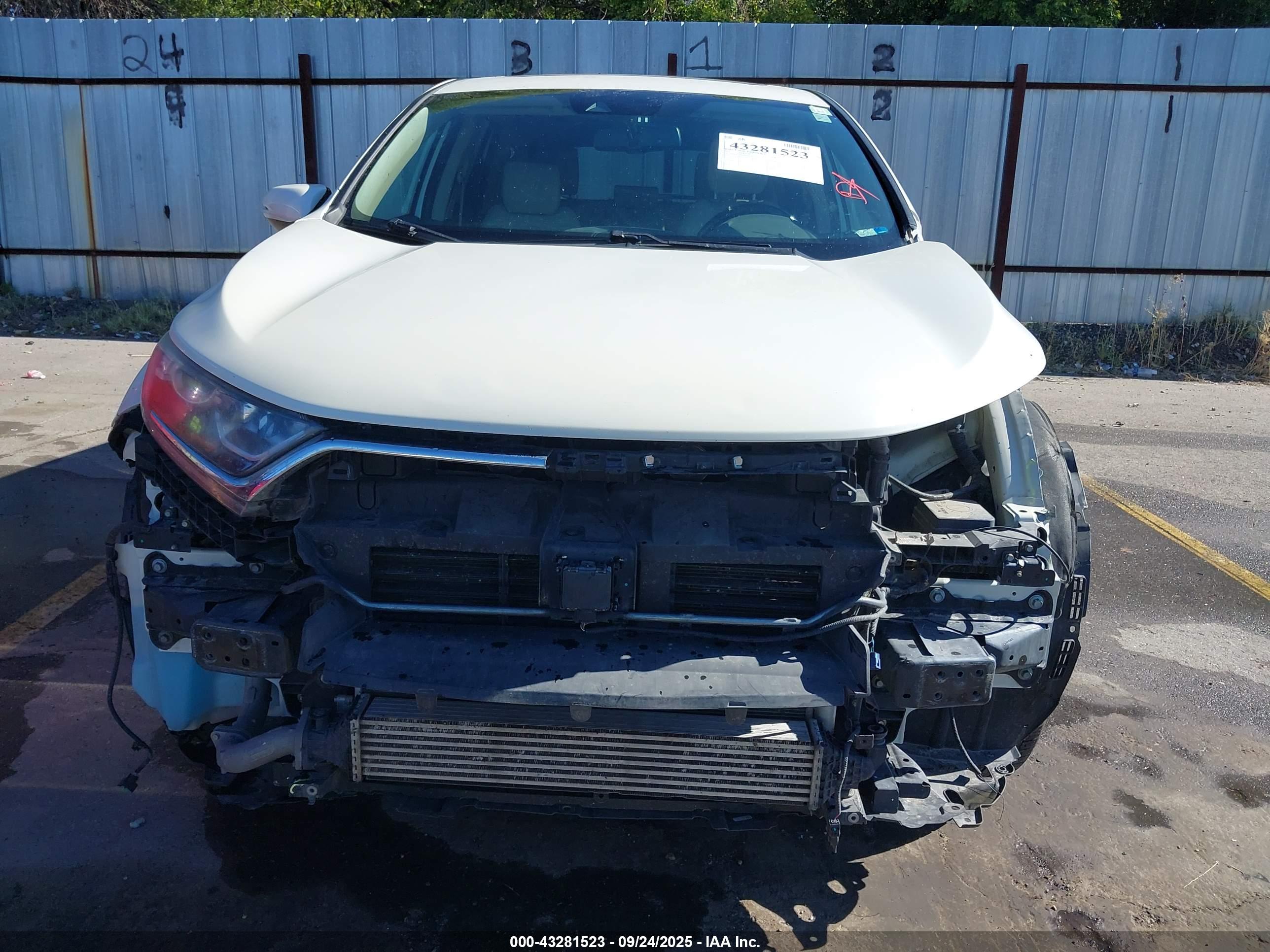 HONDA CR-V image 6