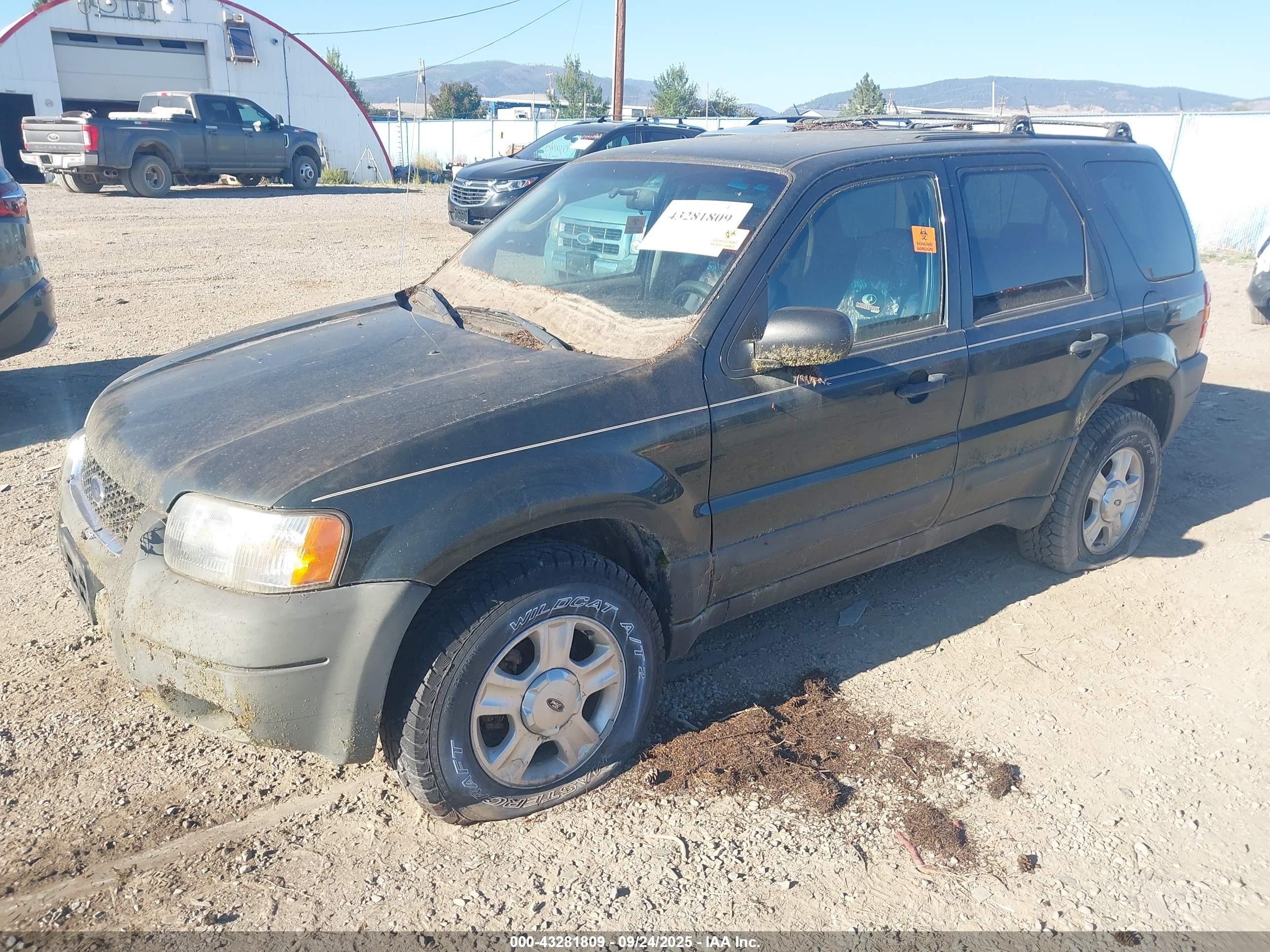 FORD ESCAPE image 2