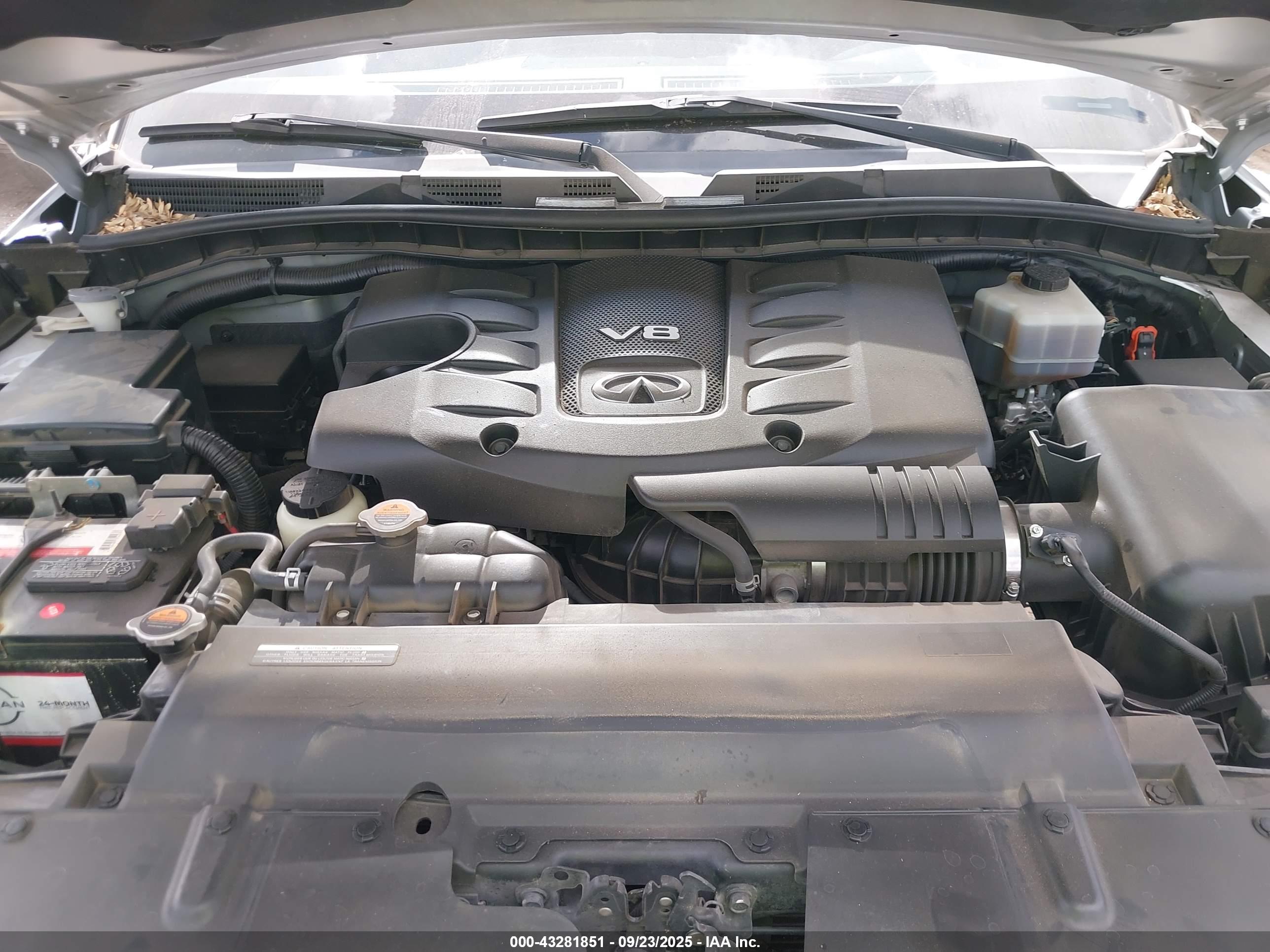 INFINITI QX80 image 10