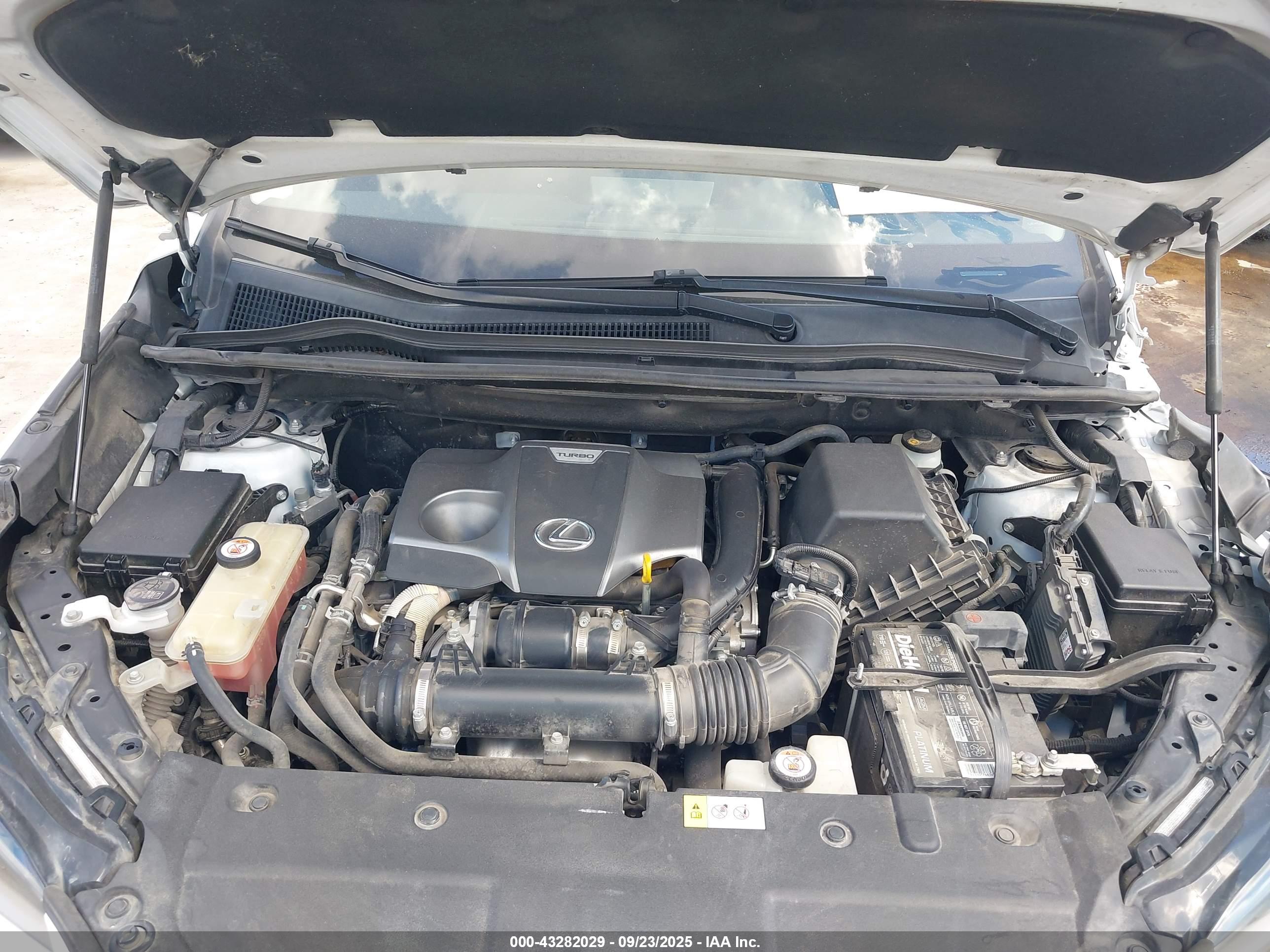 LEXUS NX image 10