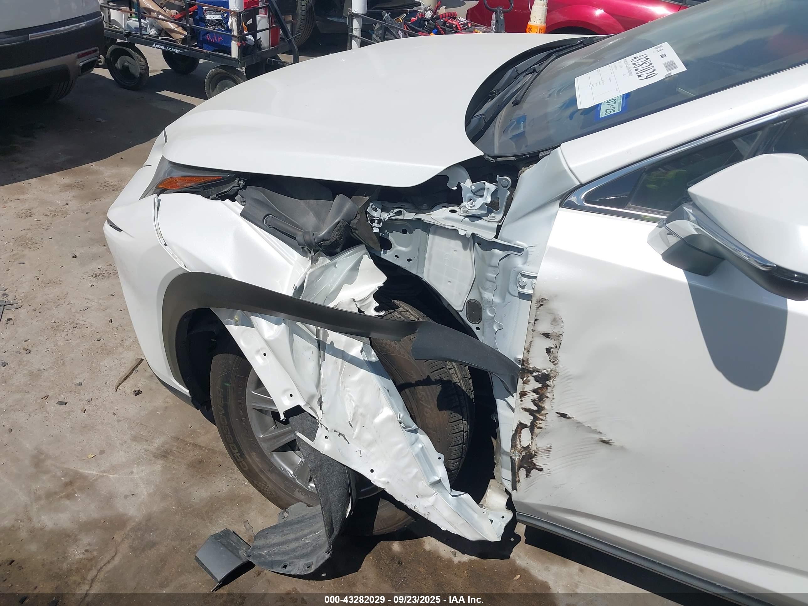 LEXUS NX image 6