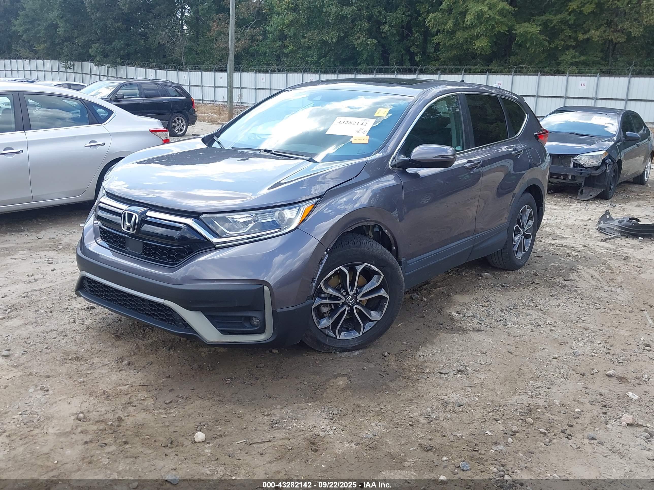 HONDA CR-V image 2