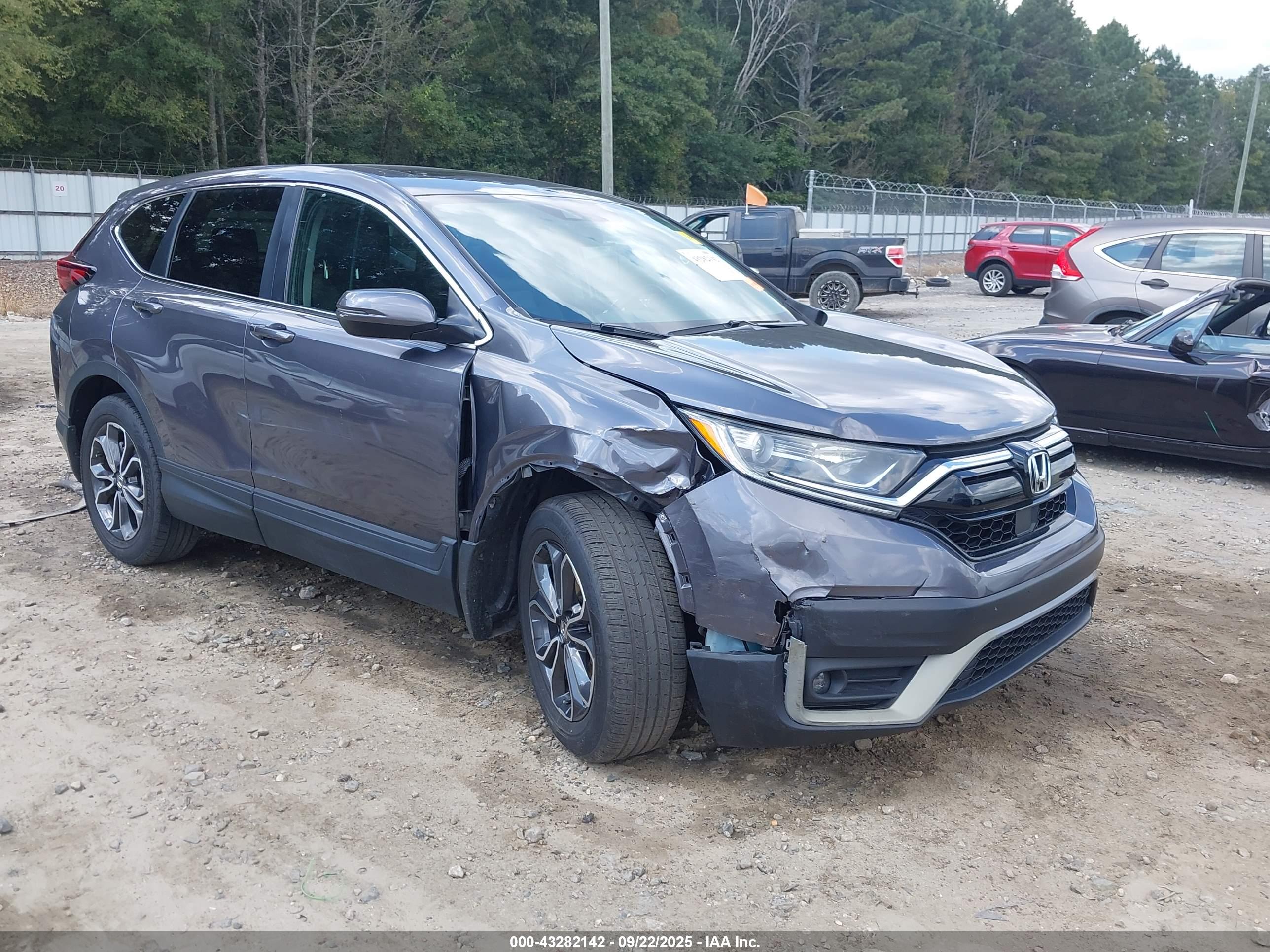 HONDA CR-V image 6
