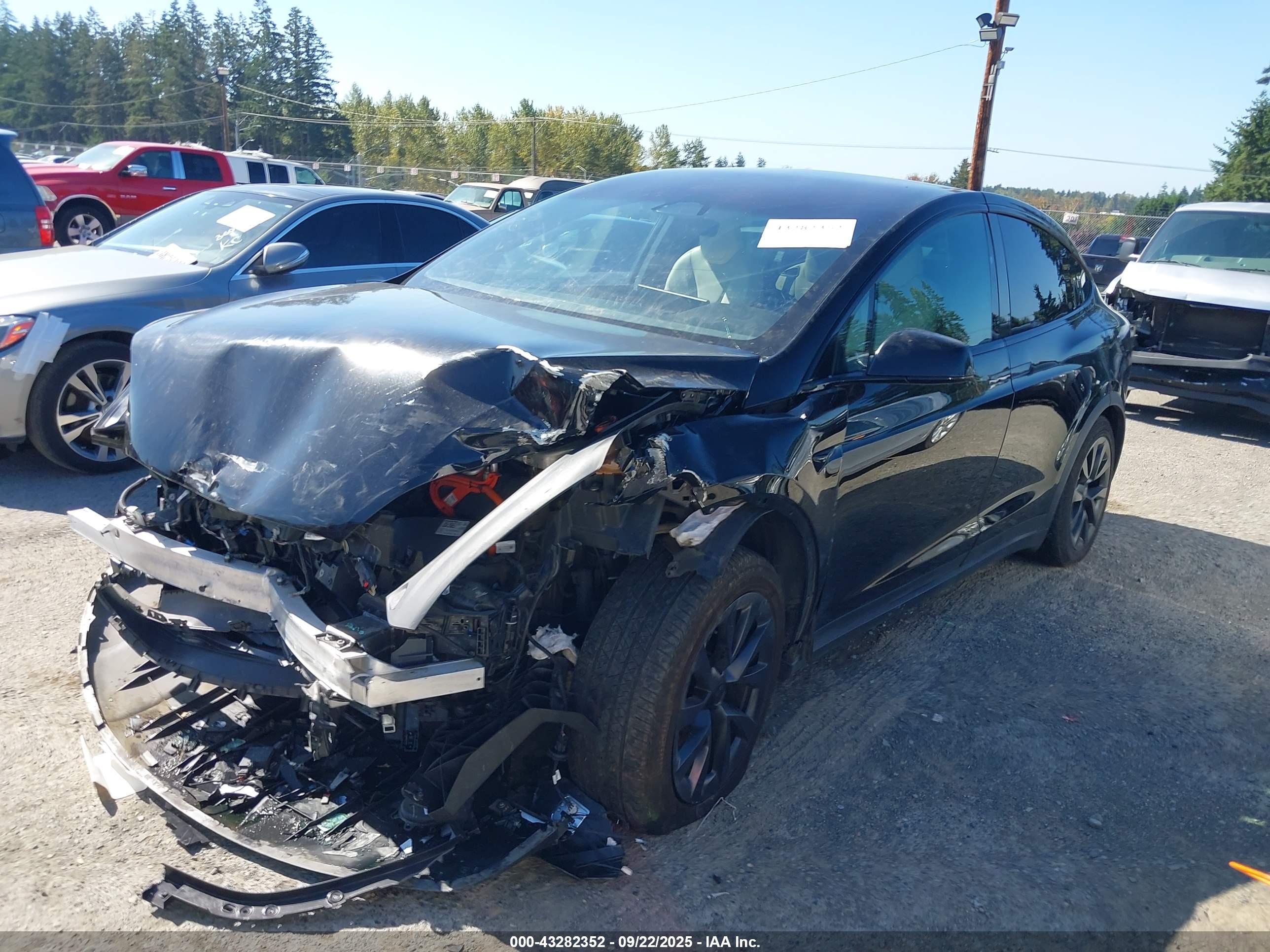 TESLA MODEL image 2