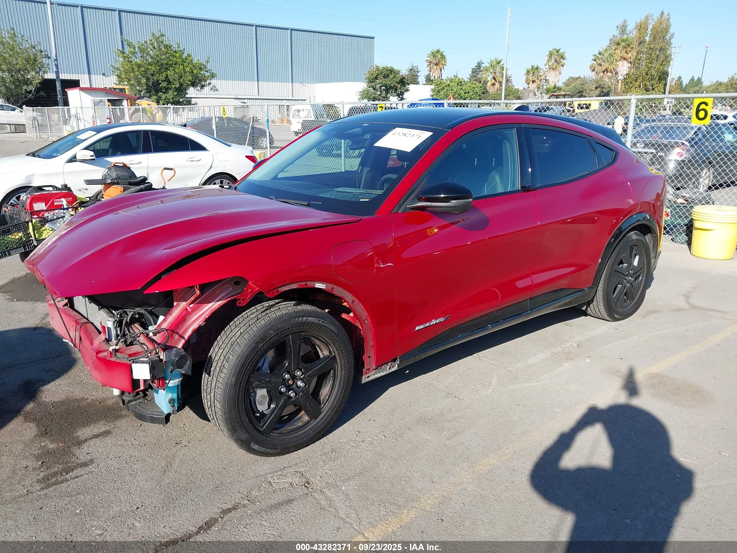 FORD MUSTANG image 2