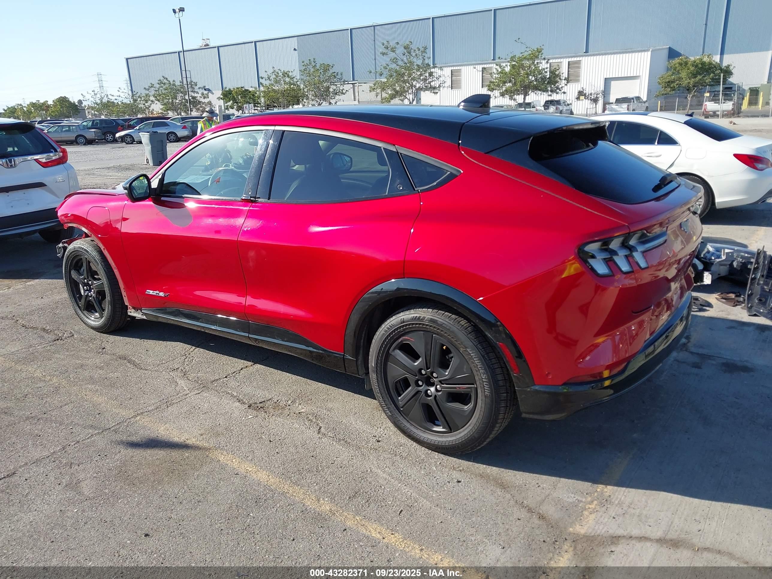 FORD MUSTANG image 3