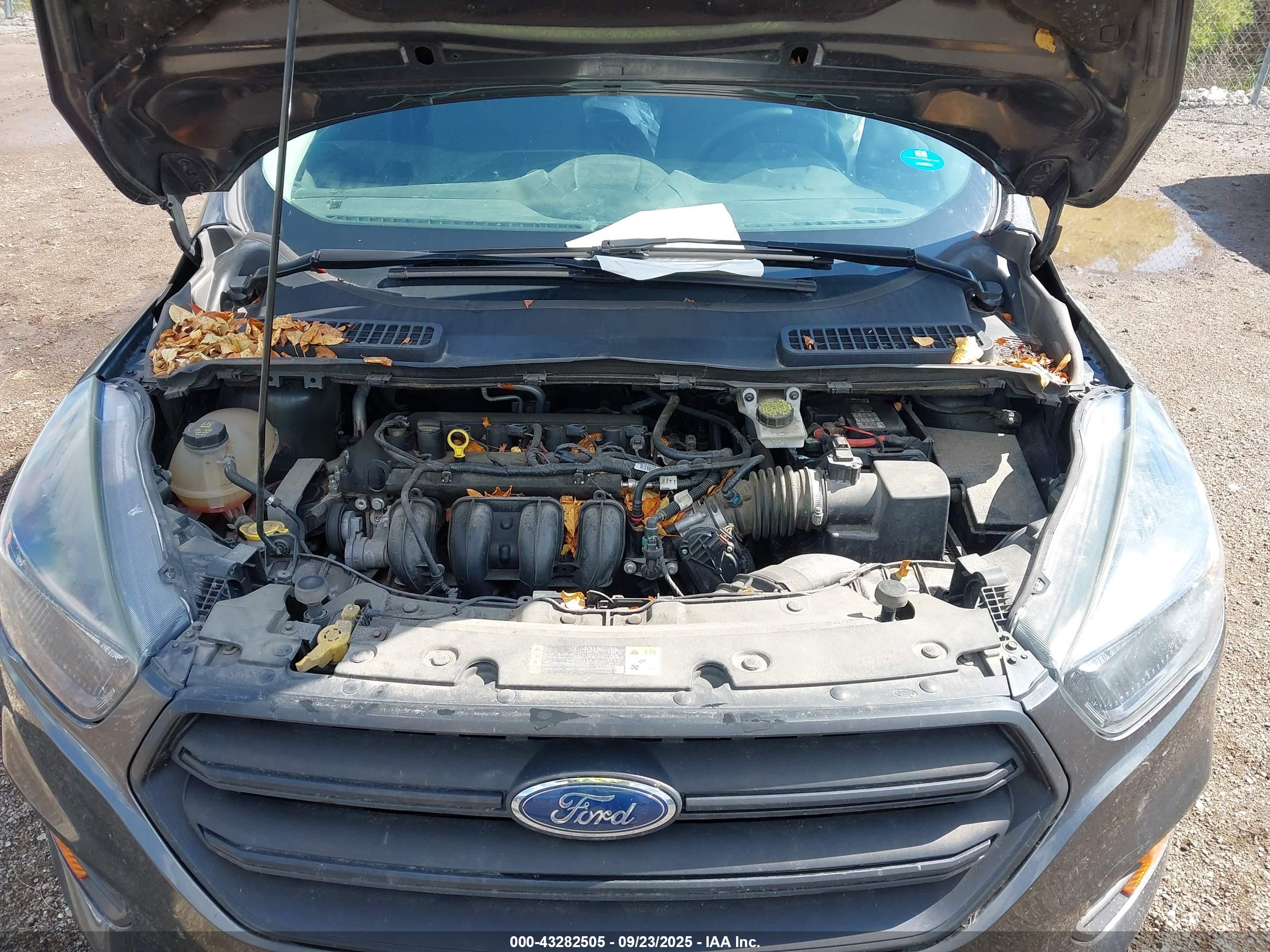 FORD ESCAPE image 10