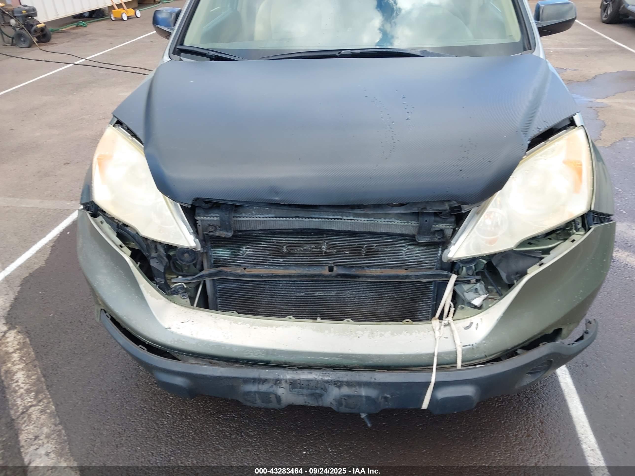 HONDA CR-V image 6