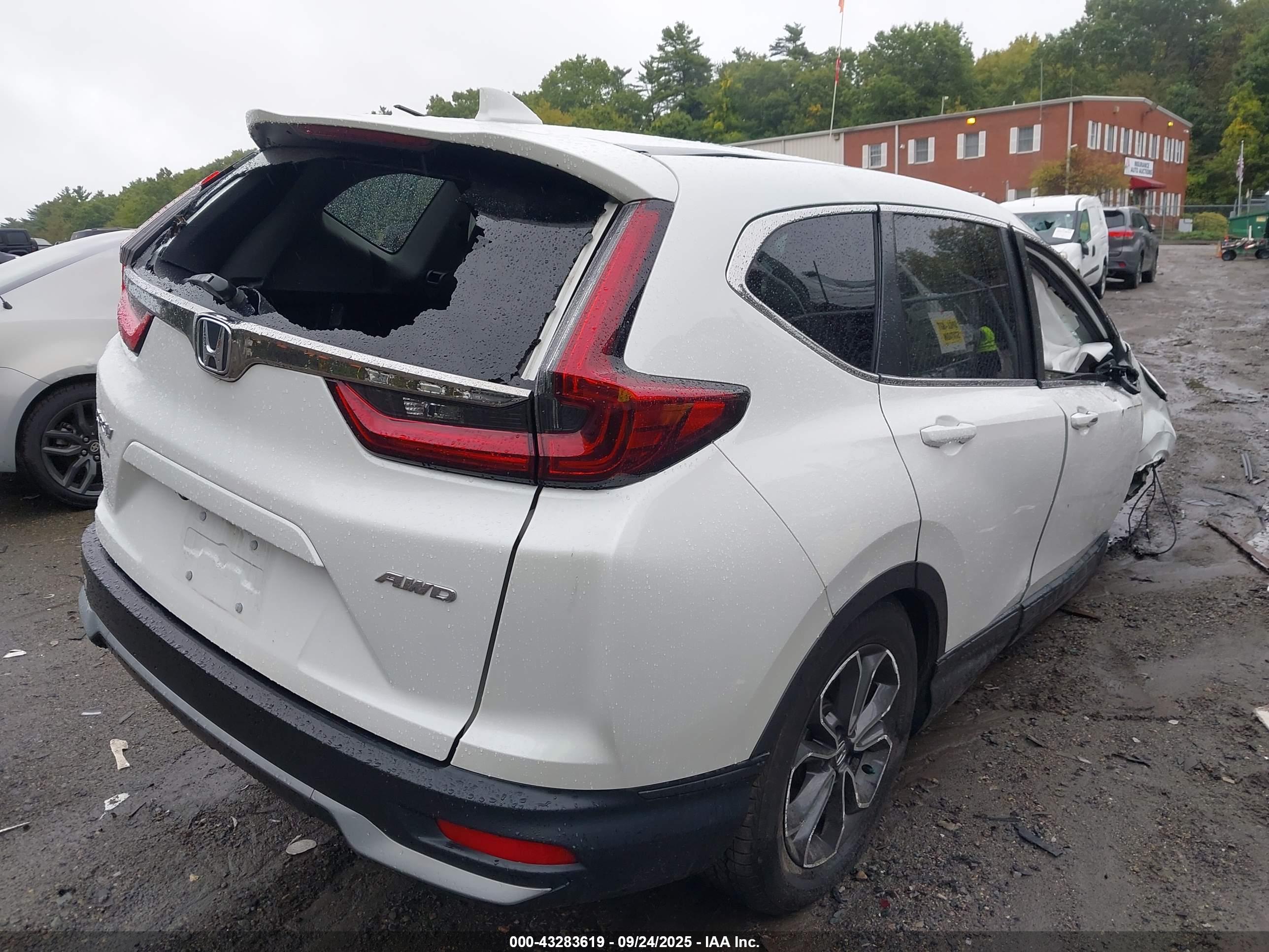 HONDA CR-V image 4